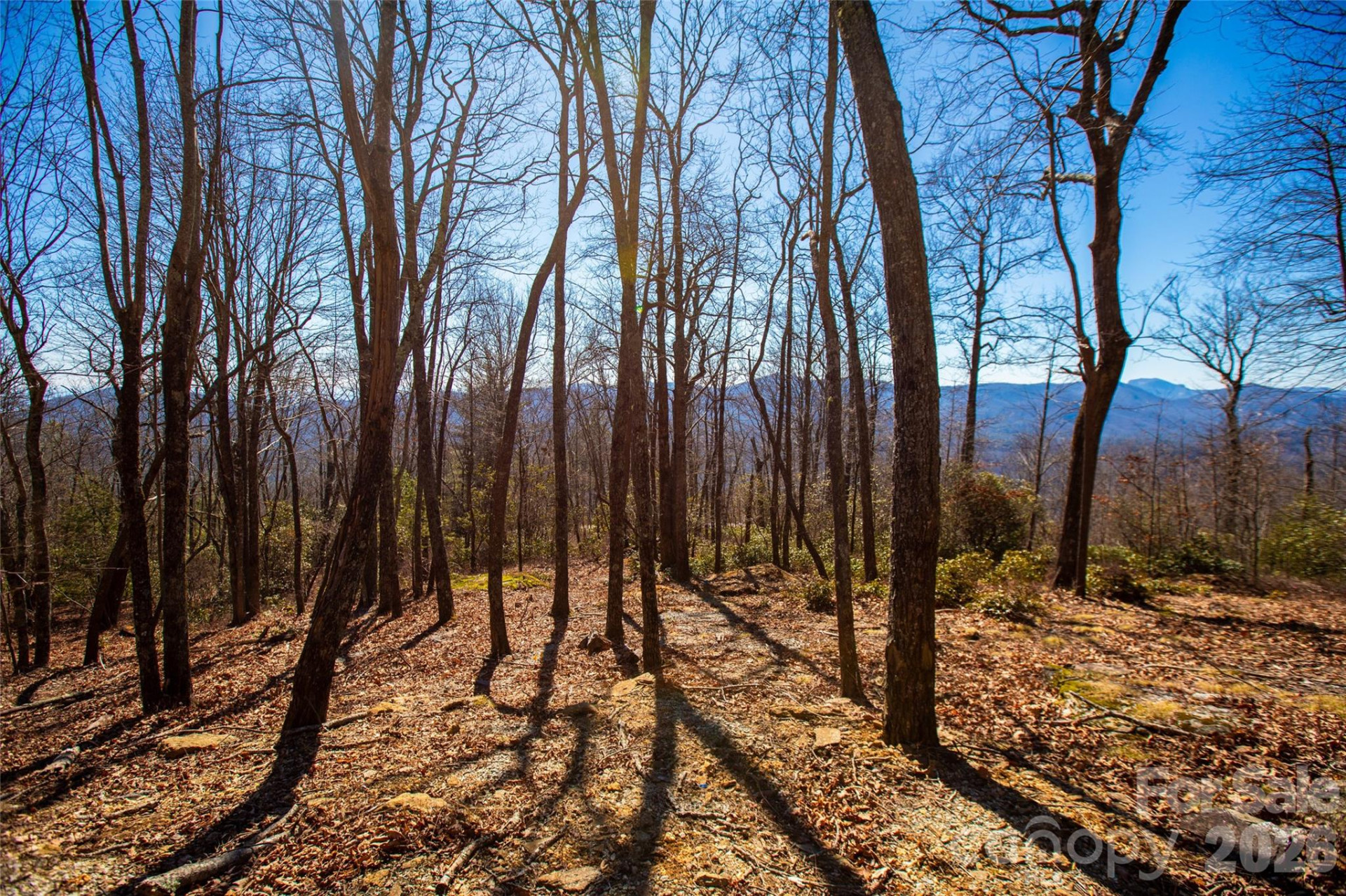 Lot 19 Whitetail Drive - Photo 9