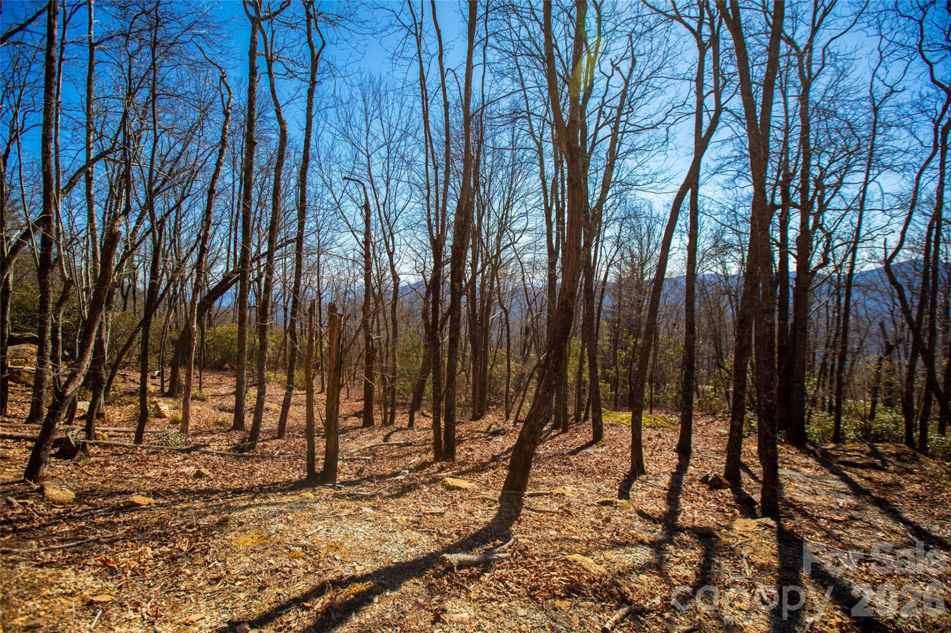 Lot 19 Whitetail Drive - Photo 10