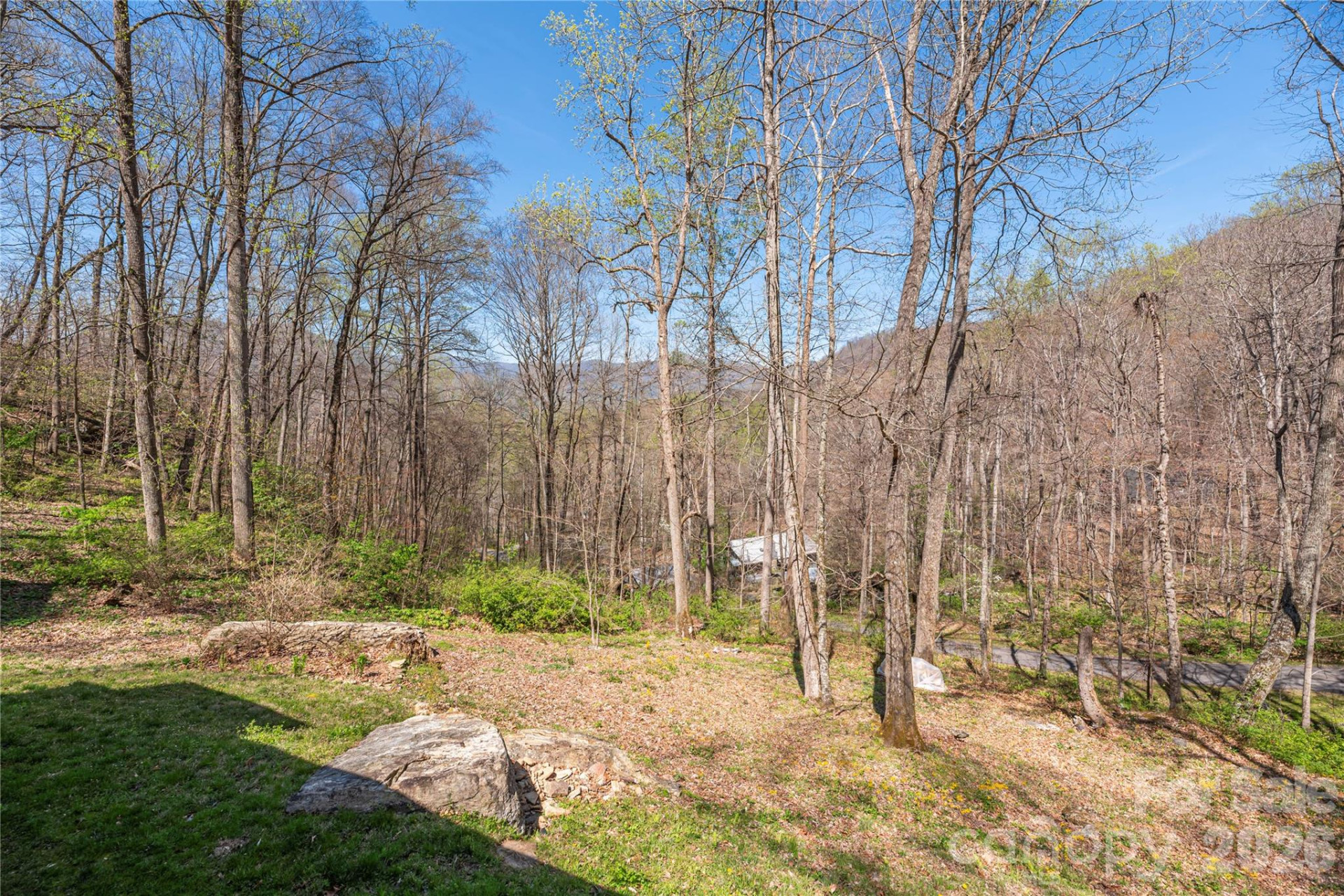 102 Fall Creek Road - Photo 9