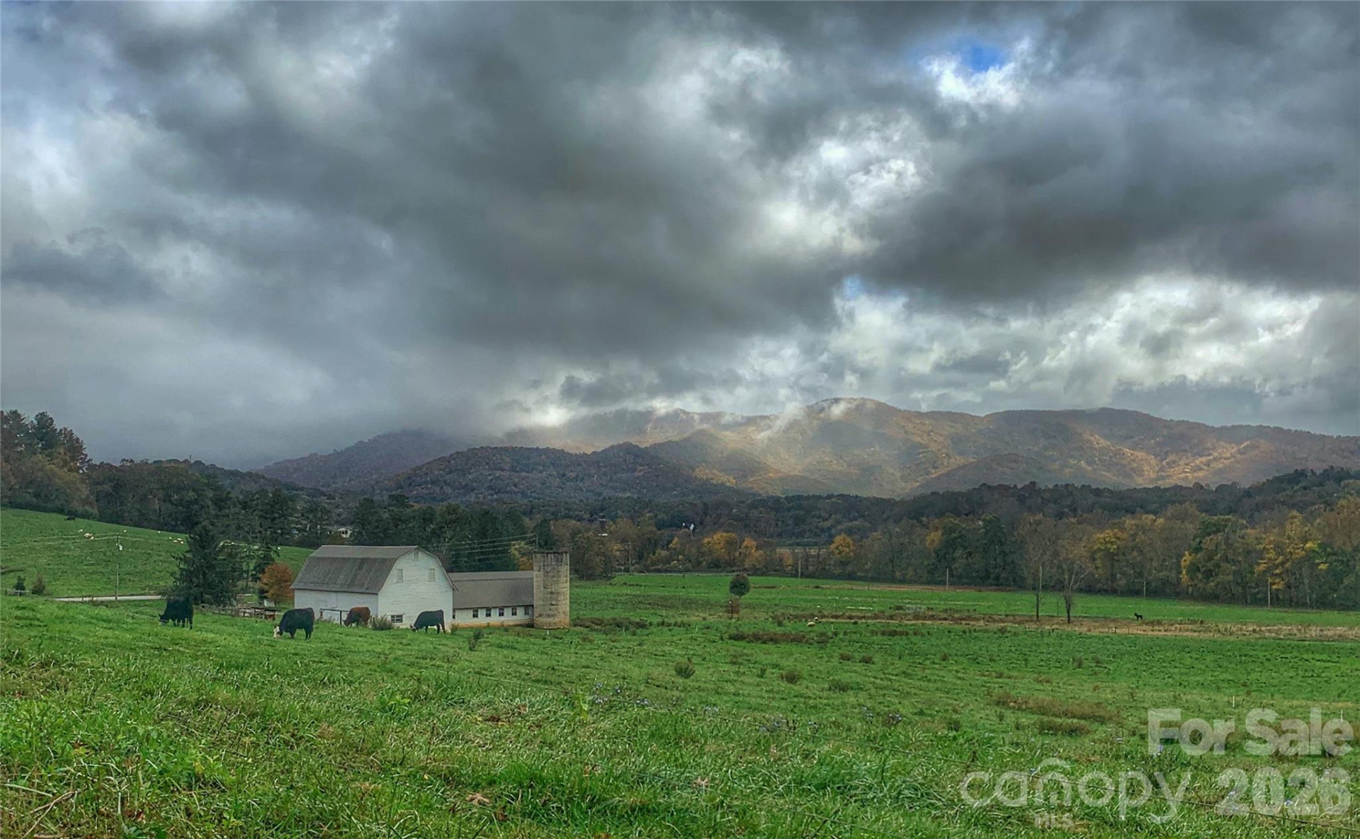 18 Majestic Oak Circle - Photo 43