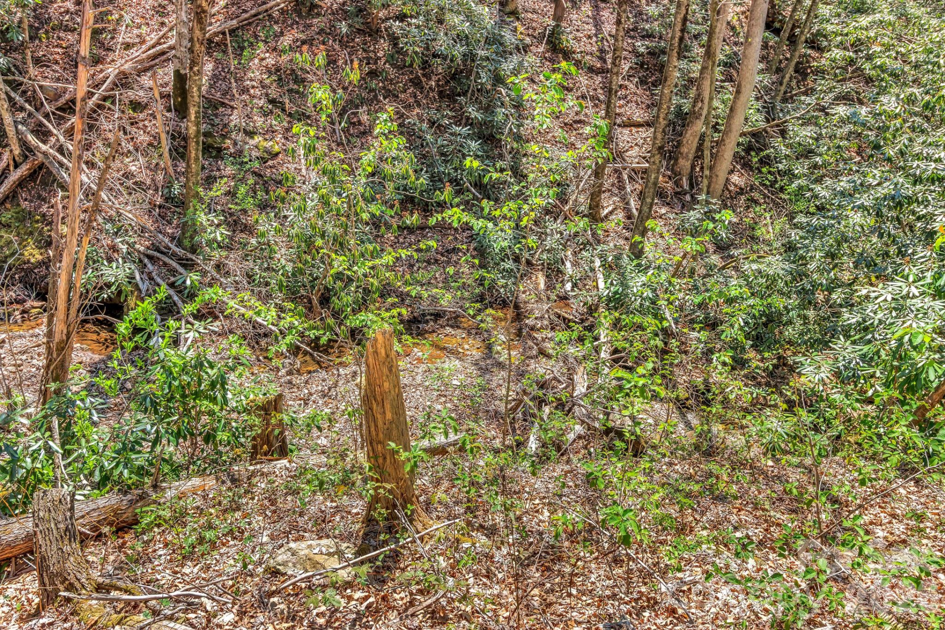 1100 Panther Branch Road - Photo 13