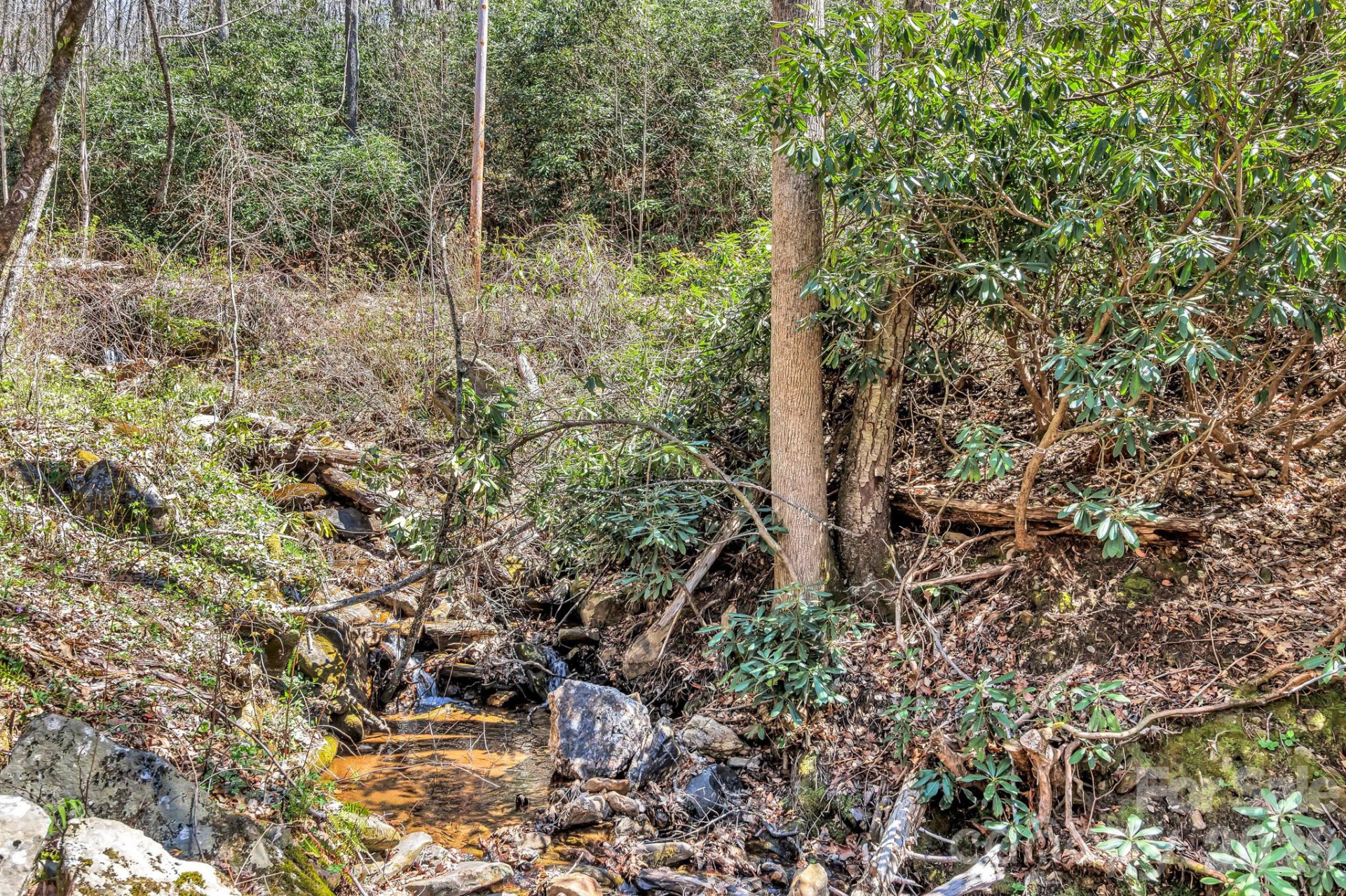 1100 Panther Branch Road - Photo 14