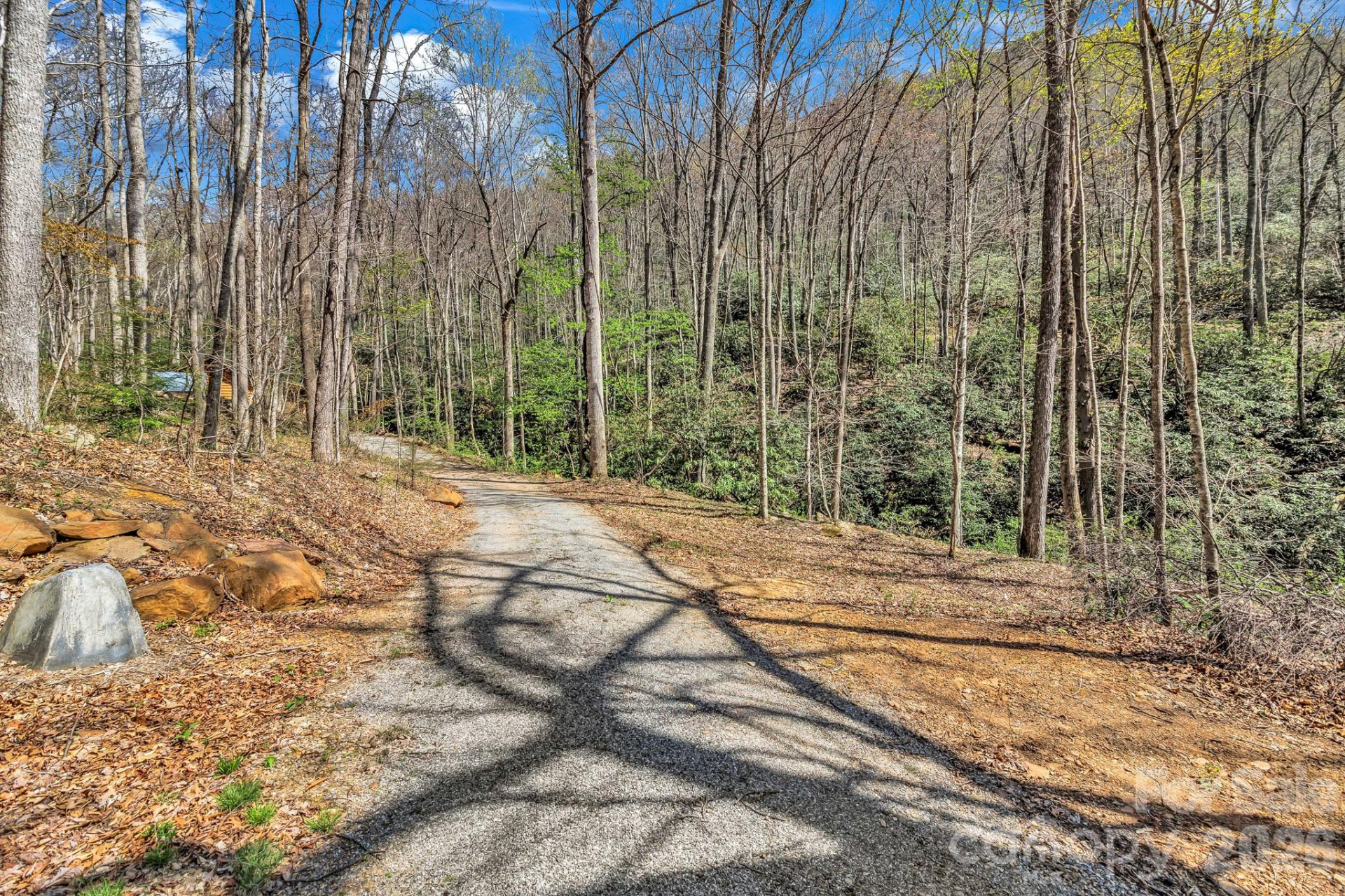 1100 Panther Branch Road - Photo 18