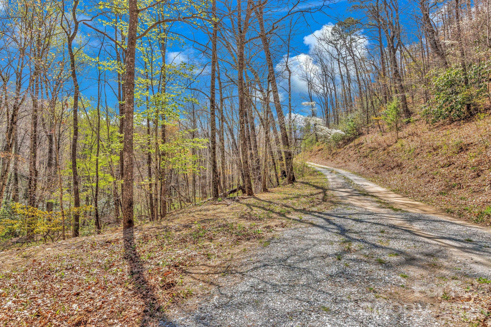 1100 Panther Branch Road - Photo 19