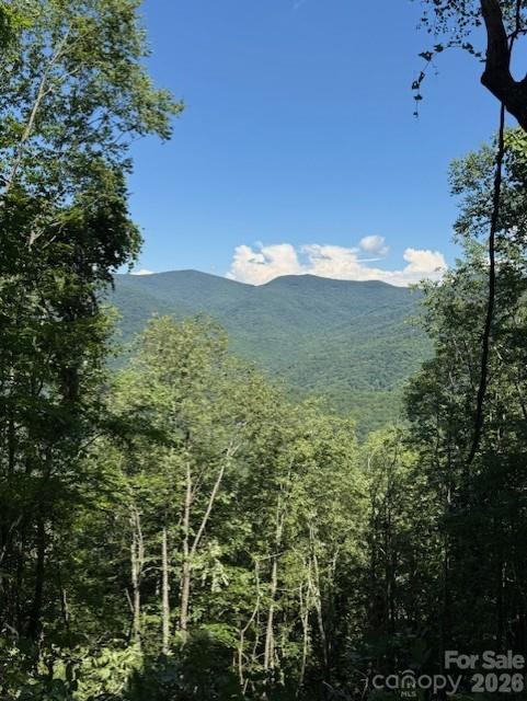 5379 PRESERVE Road #189 - Photo 2