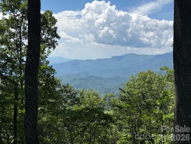 5379 PRESERVE Road #189 - Photo 3