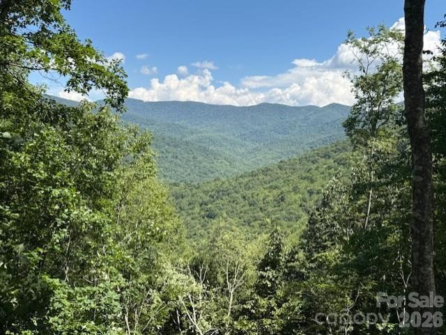 5379 PRESERVE Road #189 - Photo 5