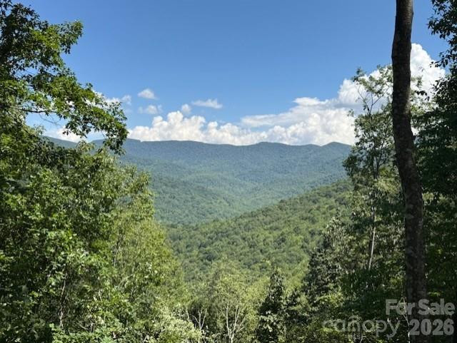 5379 PRESERVE Road #189 - Photo 6