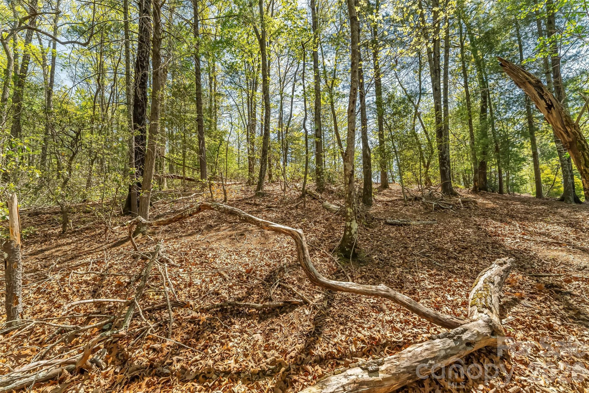 1006 High Trail Drive #32-11 - Photo 11