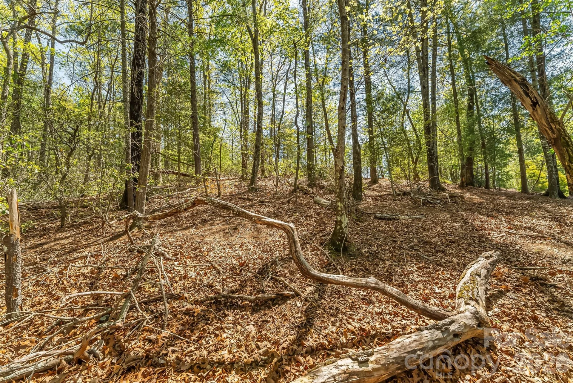 1006 High Trail Drive #32-11 - Photo 11