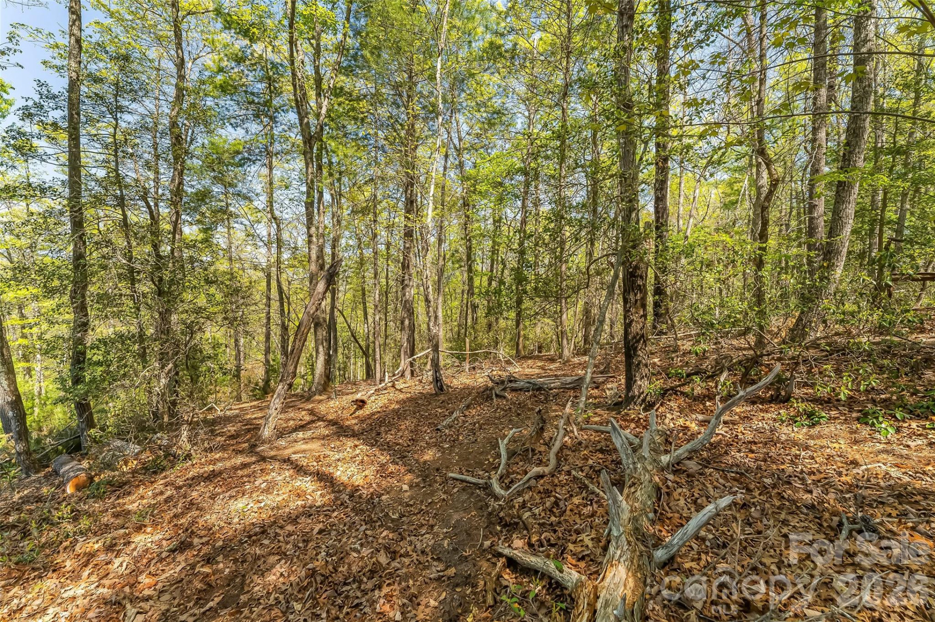 1006 High Trail Drive #32-11 - Photo 12