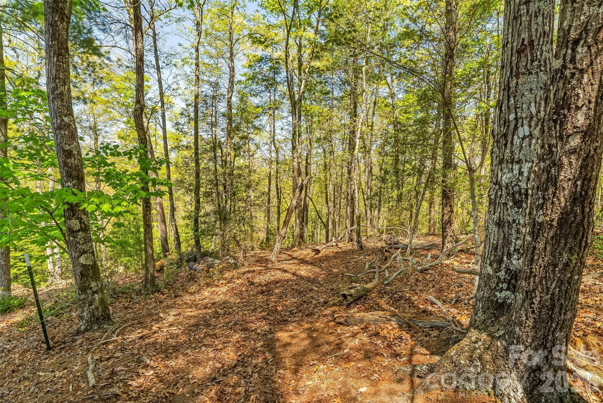 1006 High Trail Drive #32-11 - Photo 9