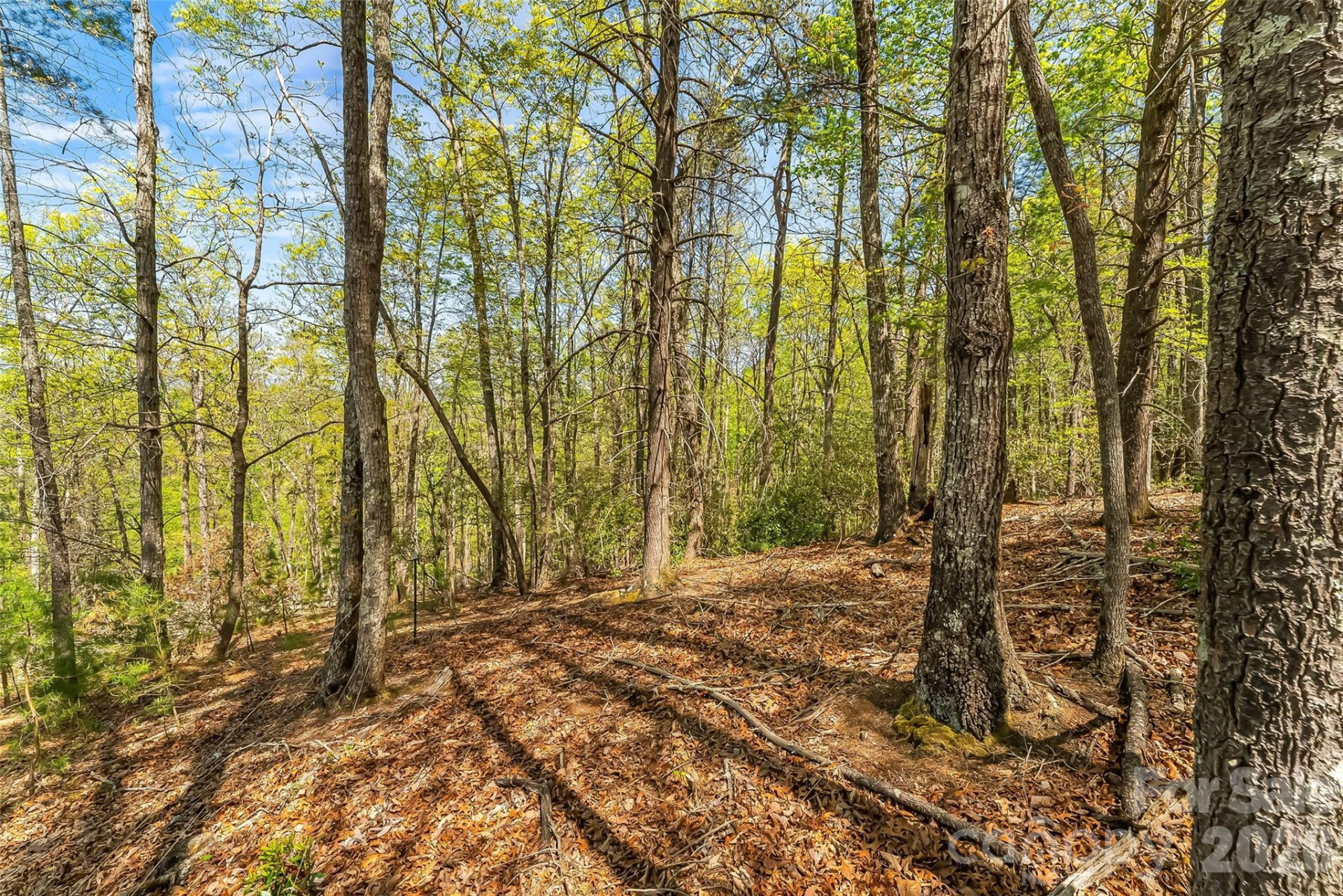 1006 High Trail Drive #32-11 - Photo 10