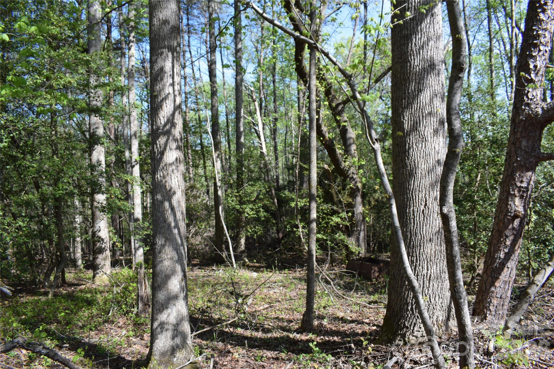 0 Hollis Road - Photo 11