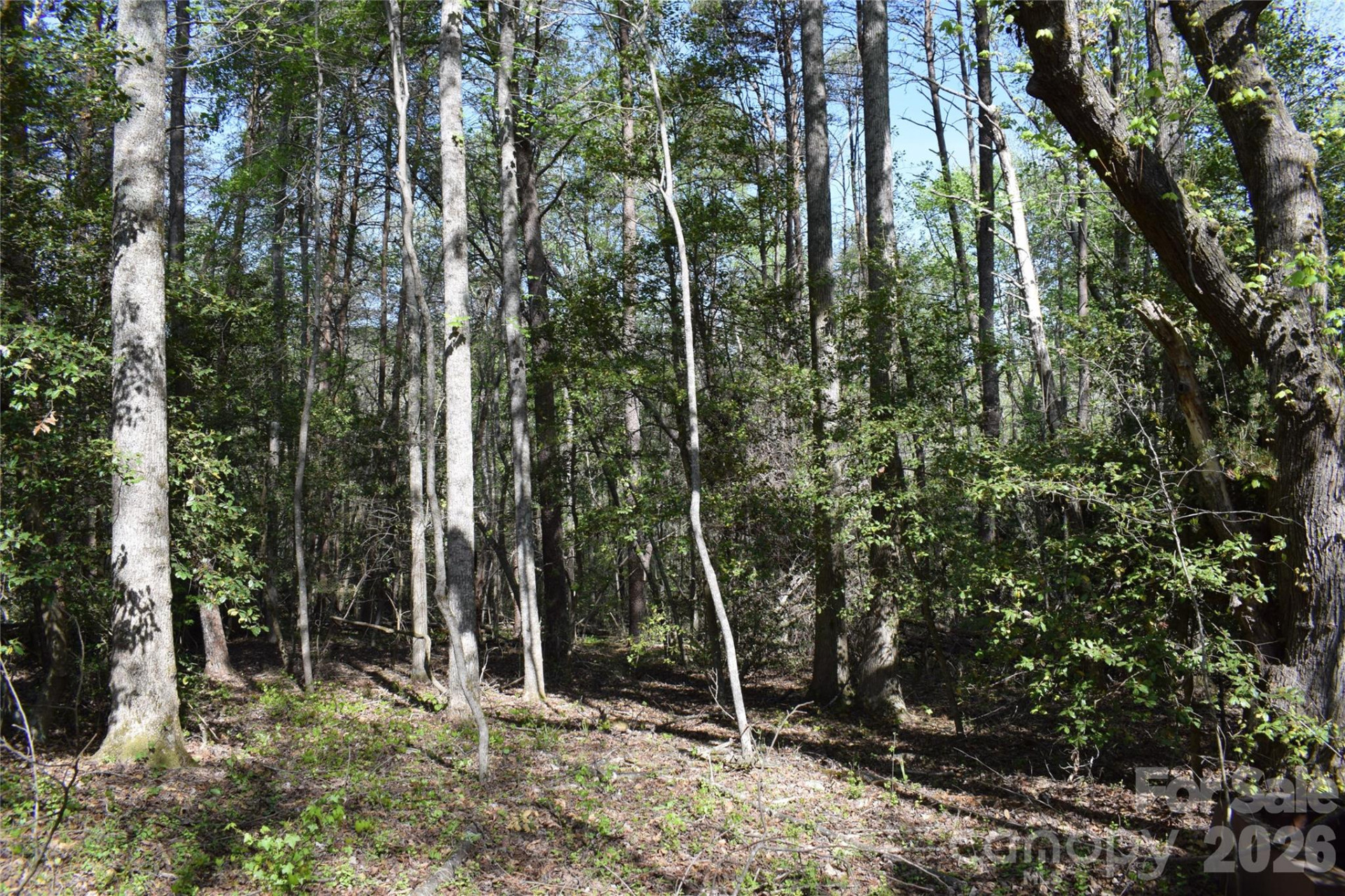 0 Hollis Road - Photo 12