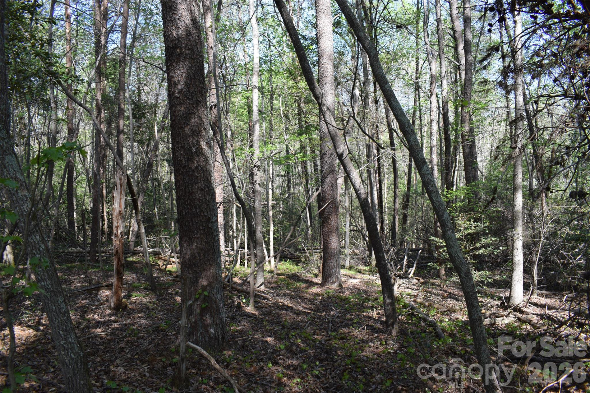 0 Hollis Road - Photo 13