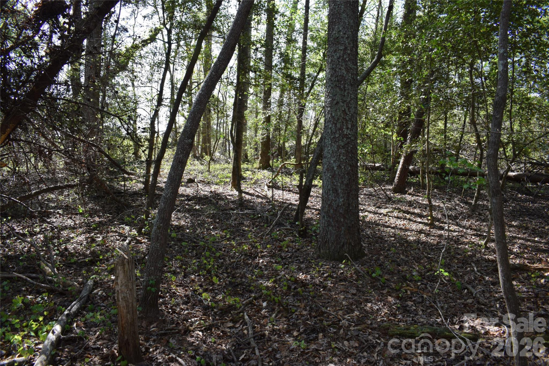 0 Hollis Road - Photo 14