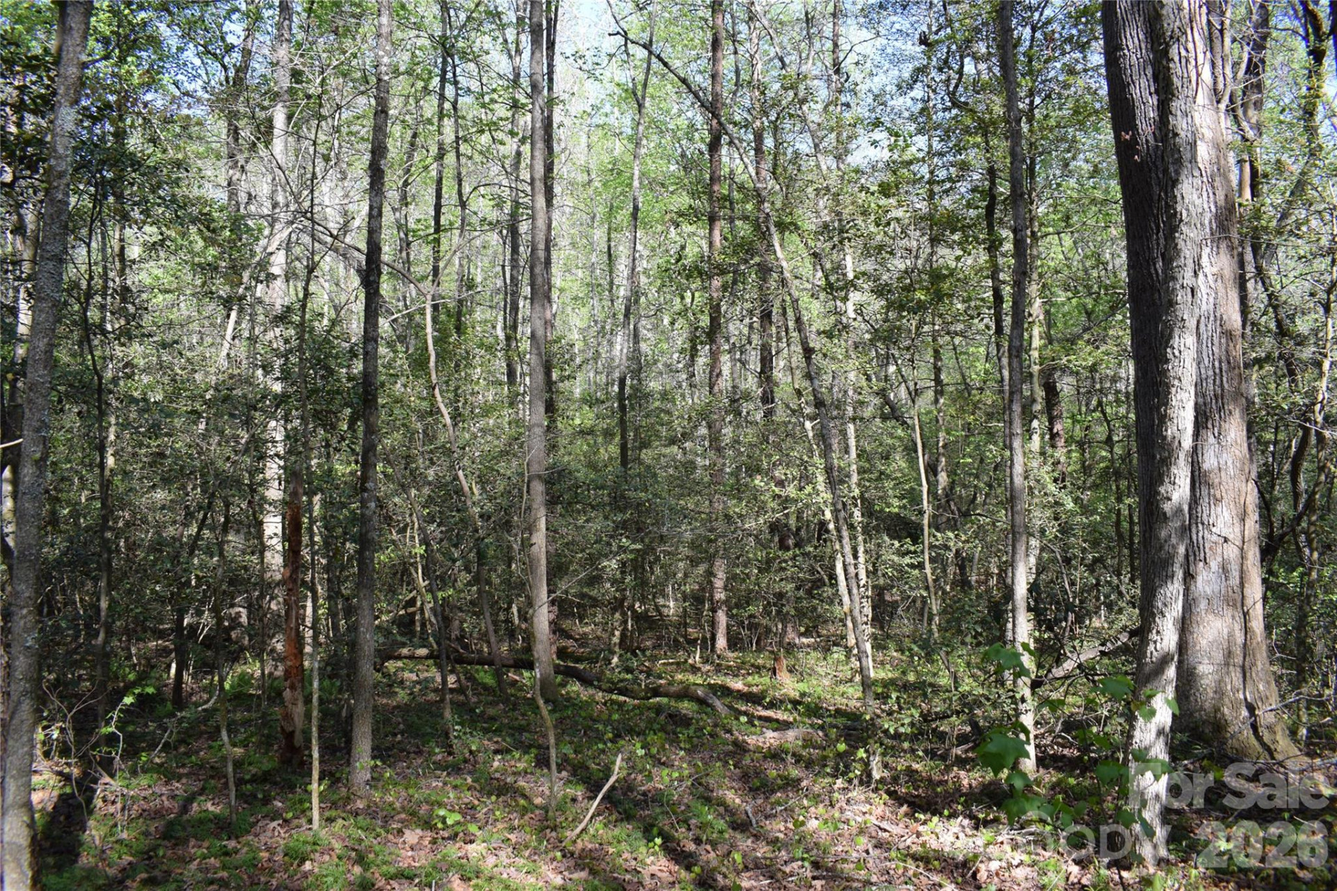 0 Hollis Road - Photo 15