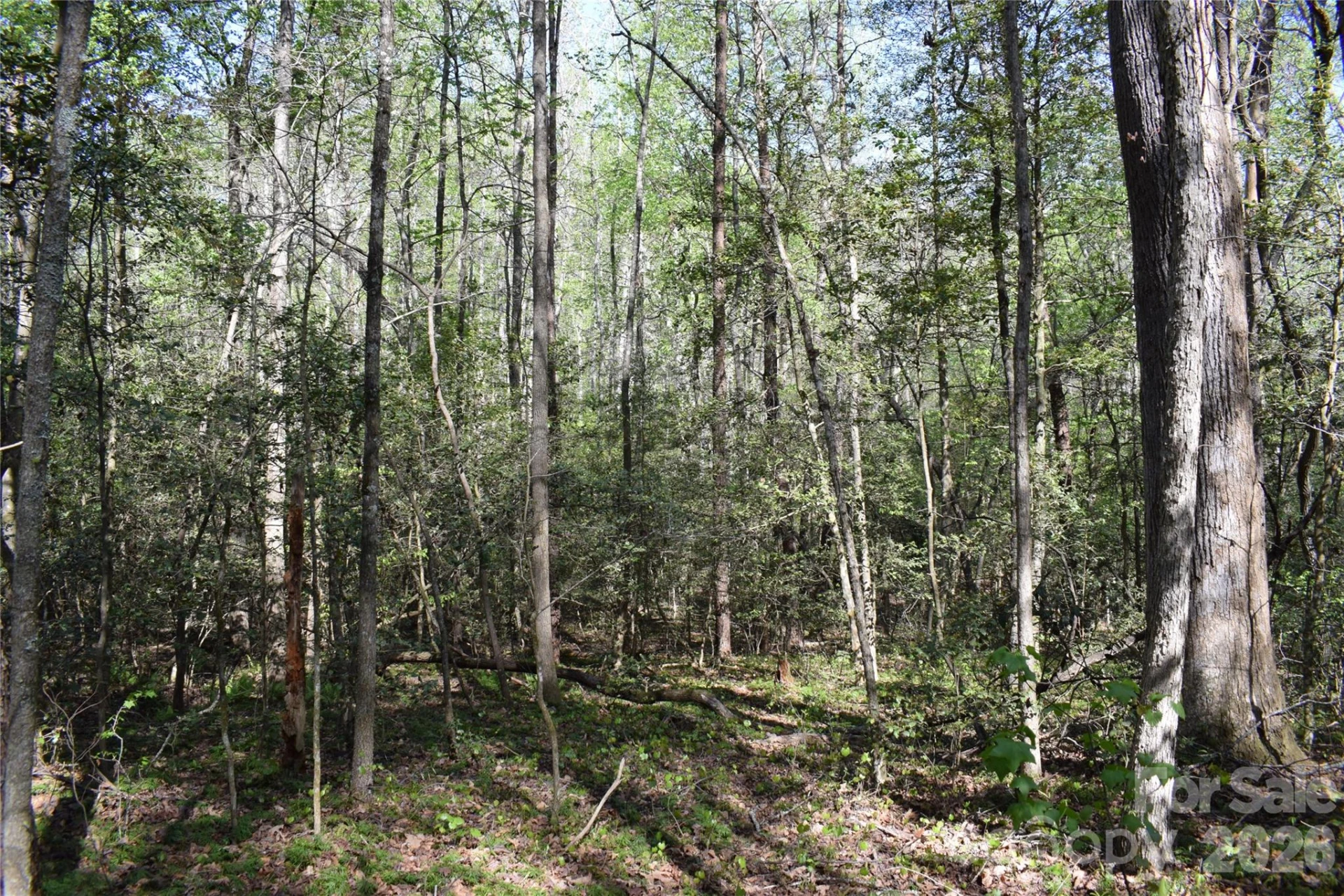 0 Hollis Road - Photo 15