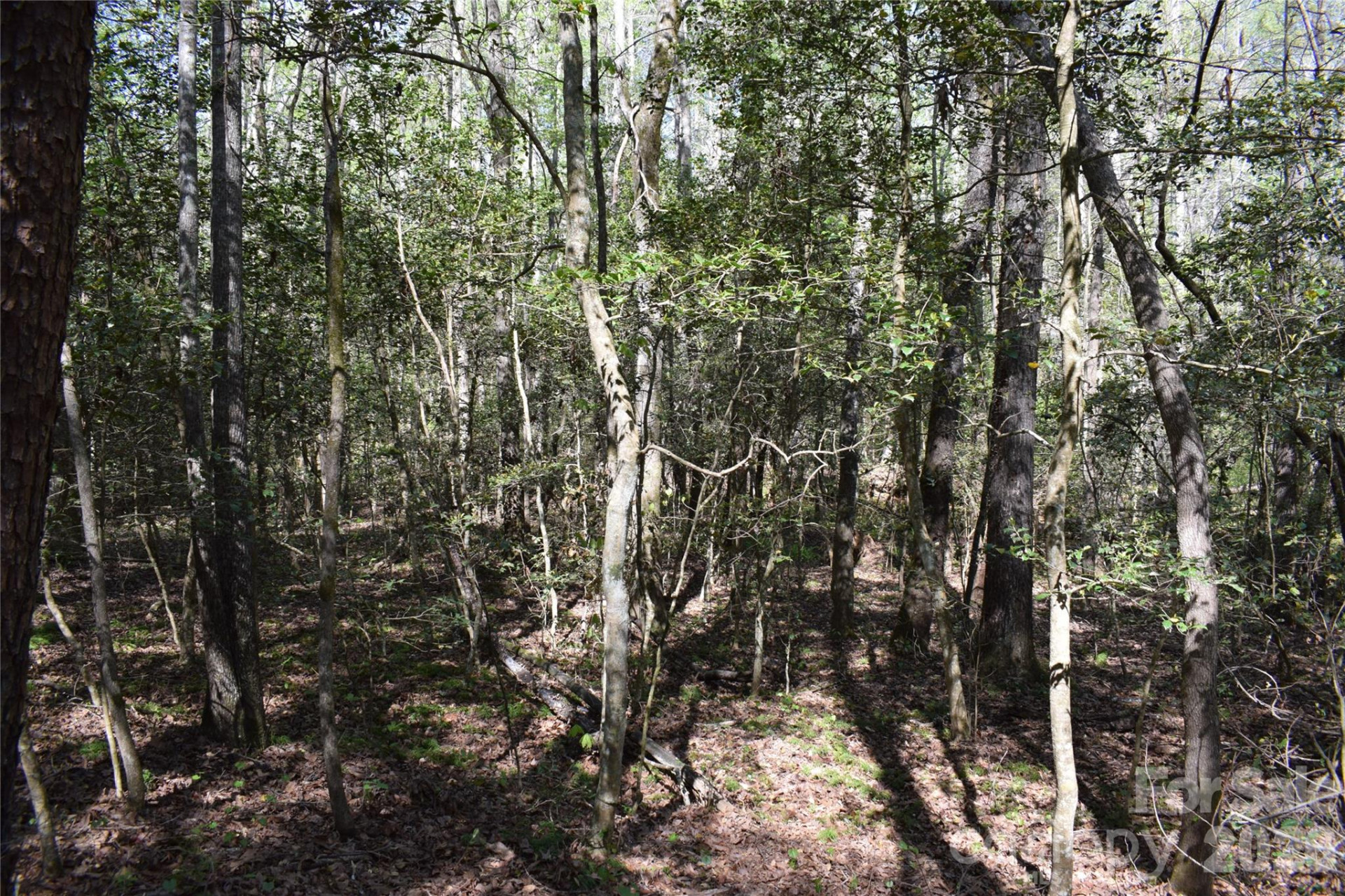 0 Hollis Road - Photo 16