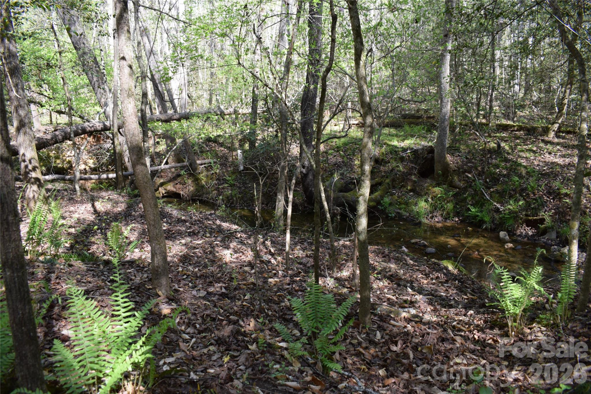 0 Hollis Road - Photo 17