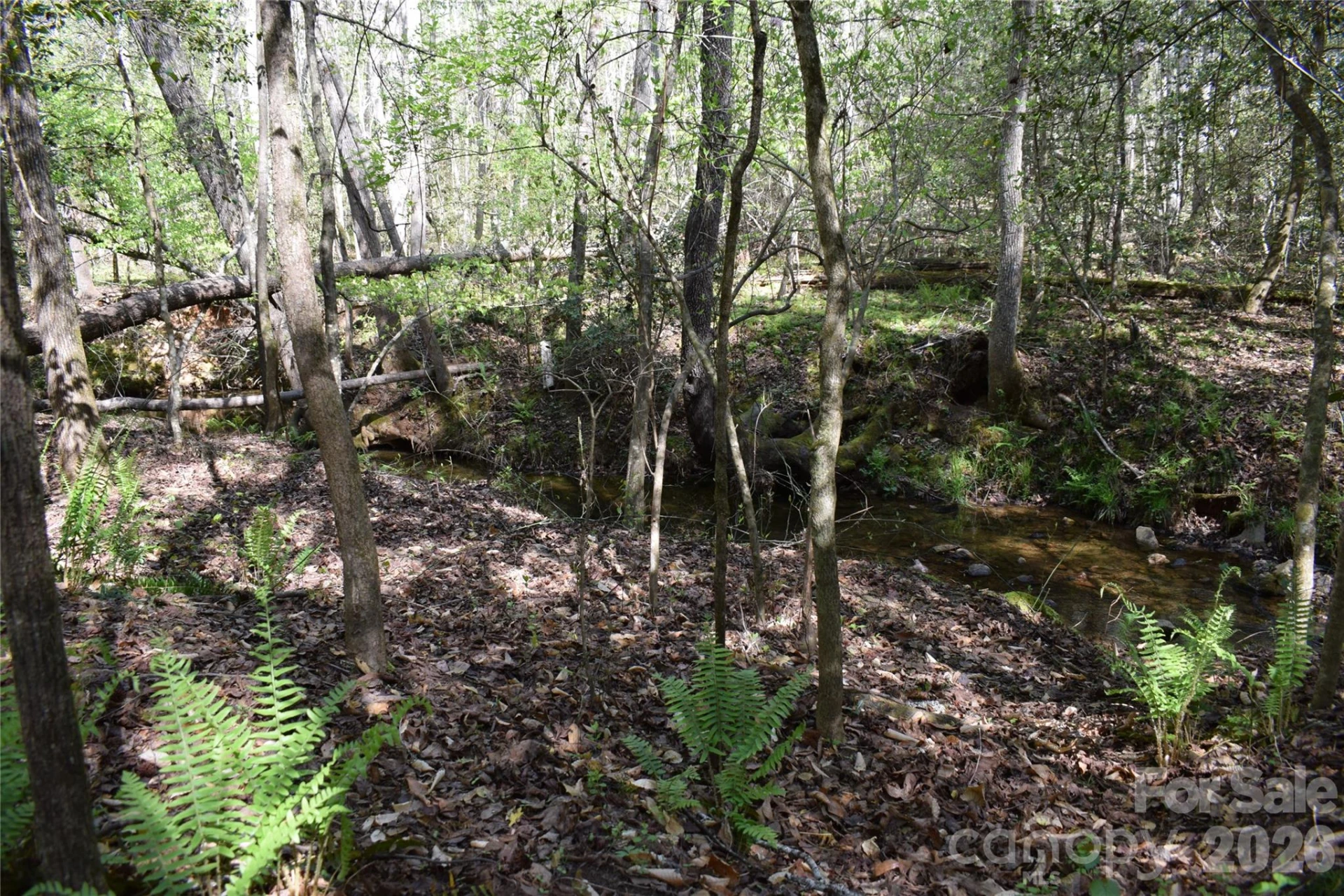 0 Hollis Road - Photo 17