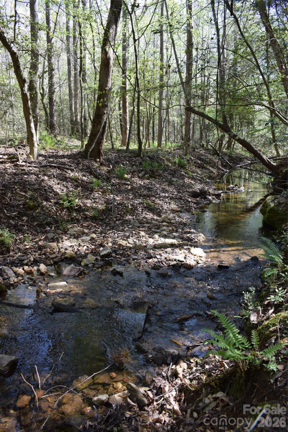 0 Hollis Road - Photo 18