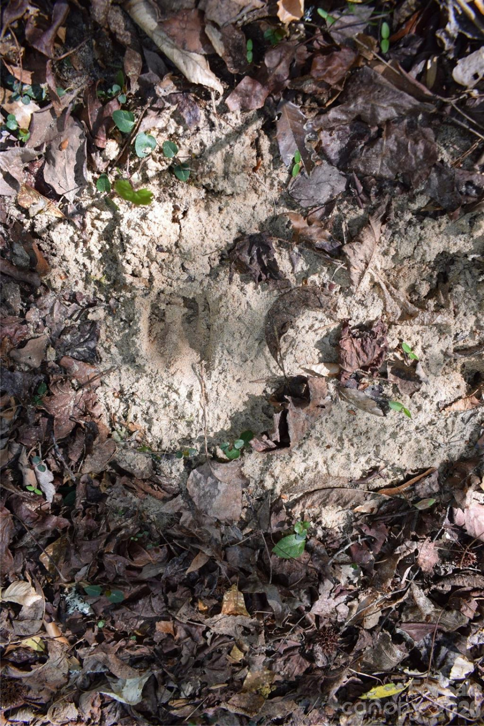 0 Hollis Road - Photo 19