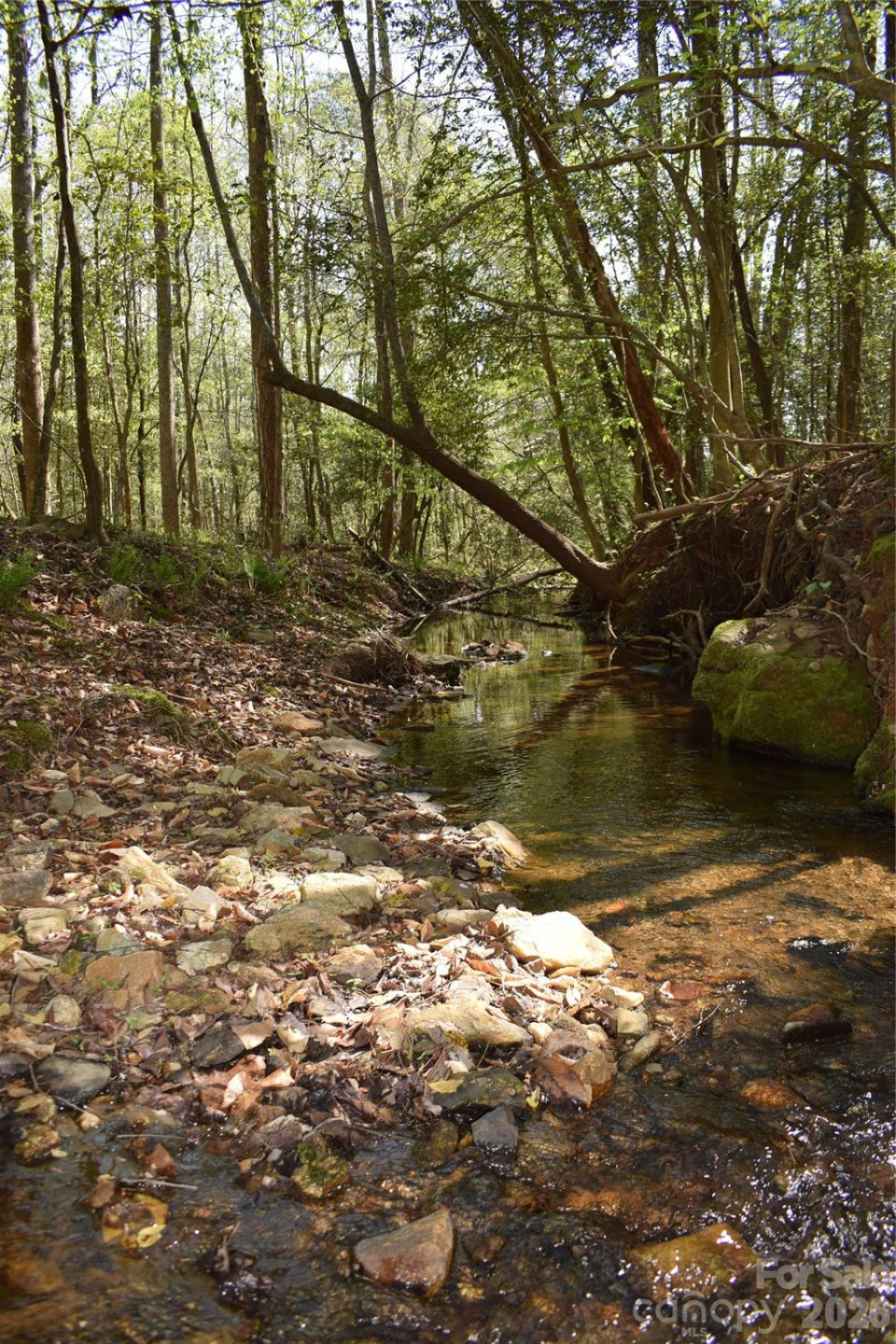 0 Hollis Road - Photo 21