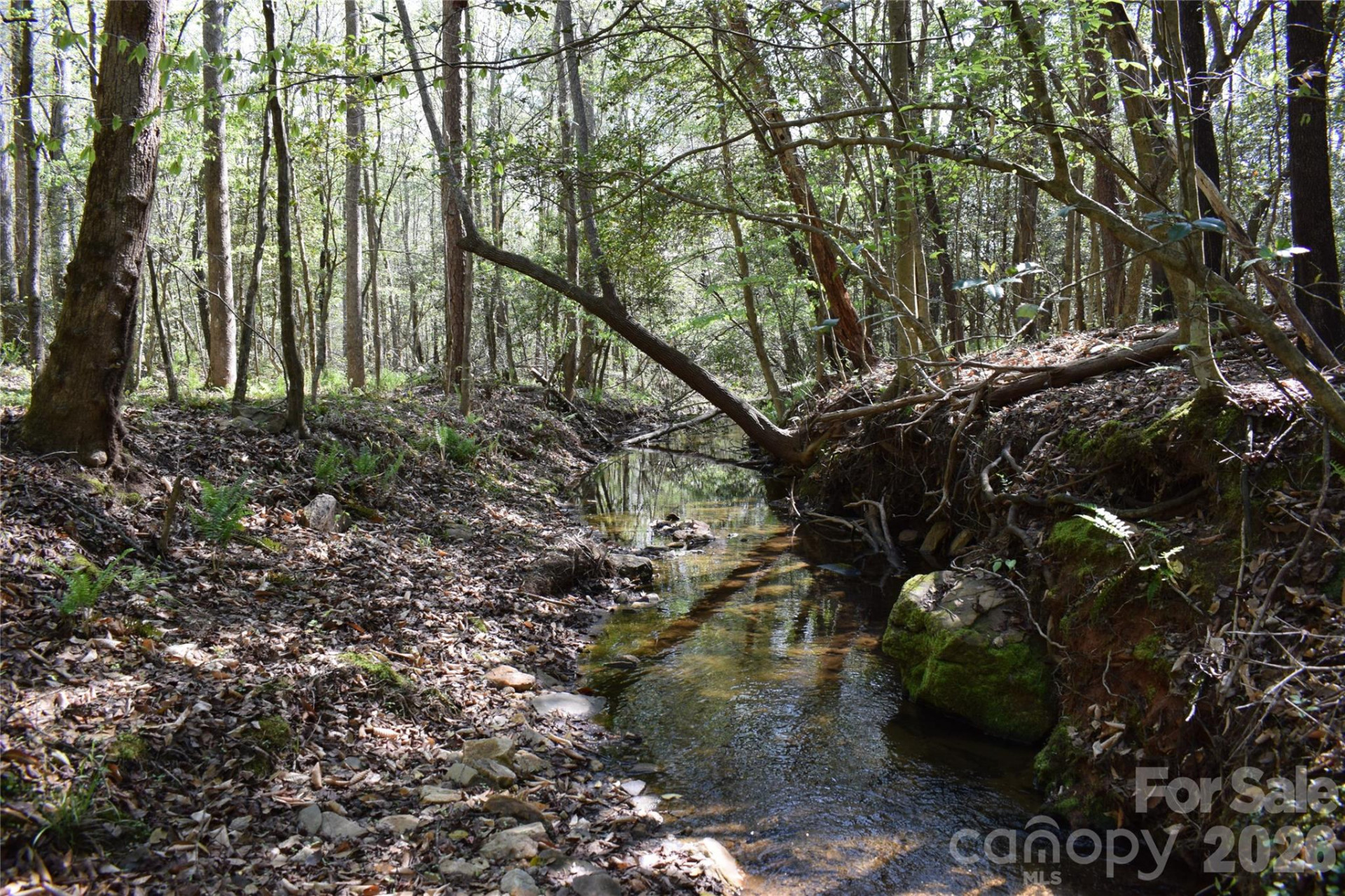 0 Hollis Road - Photo 22