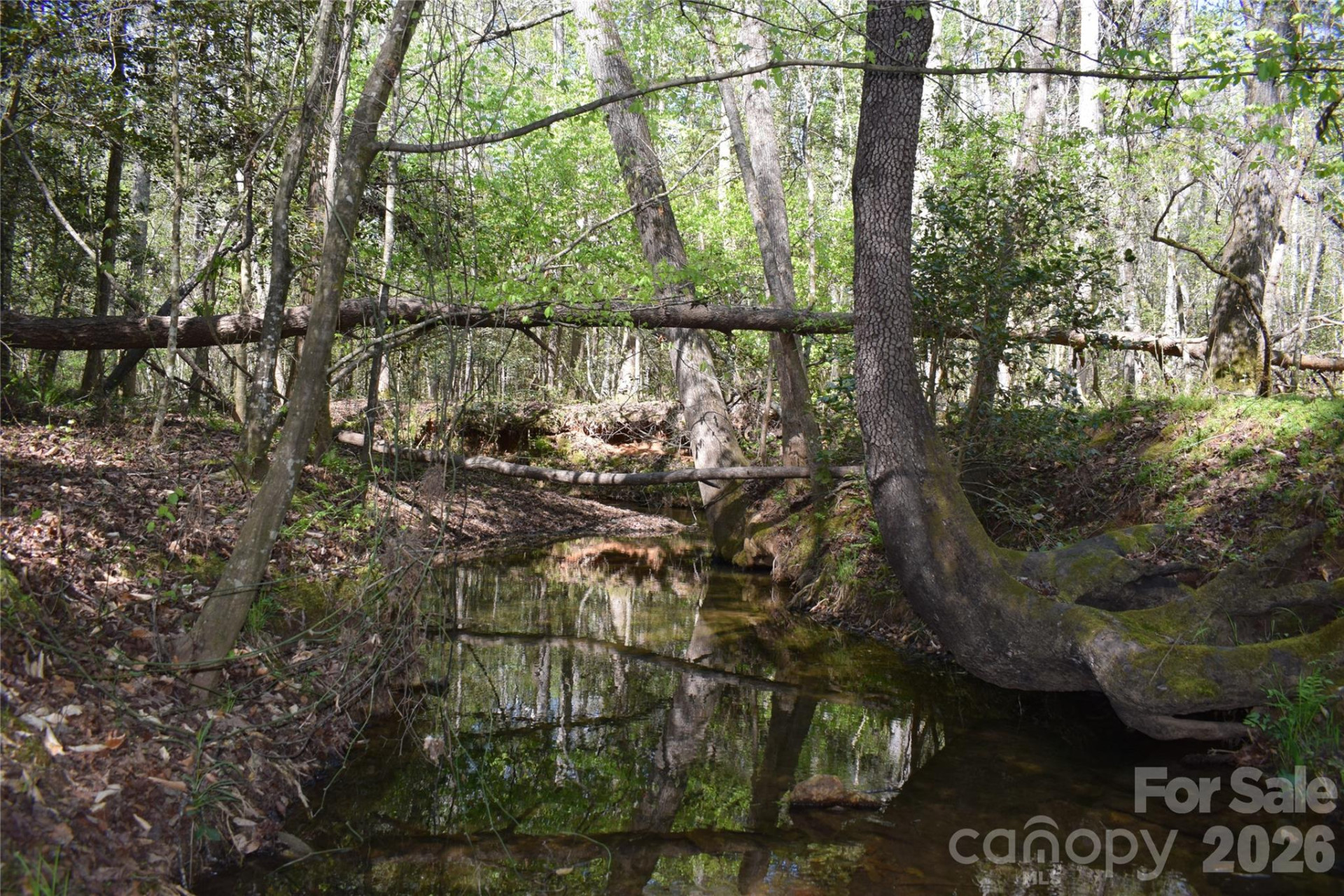 0 Hollis Road - Photo 23