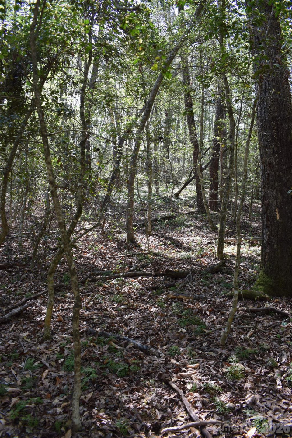 0 Hollis Road - Photo 24