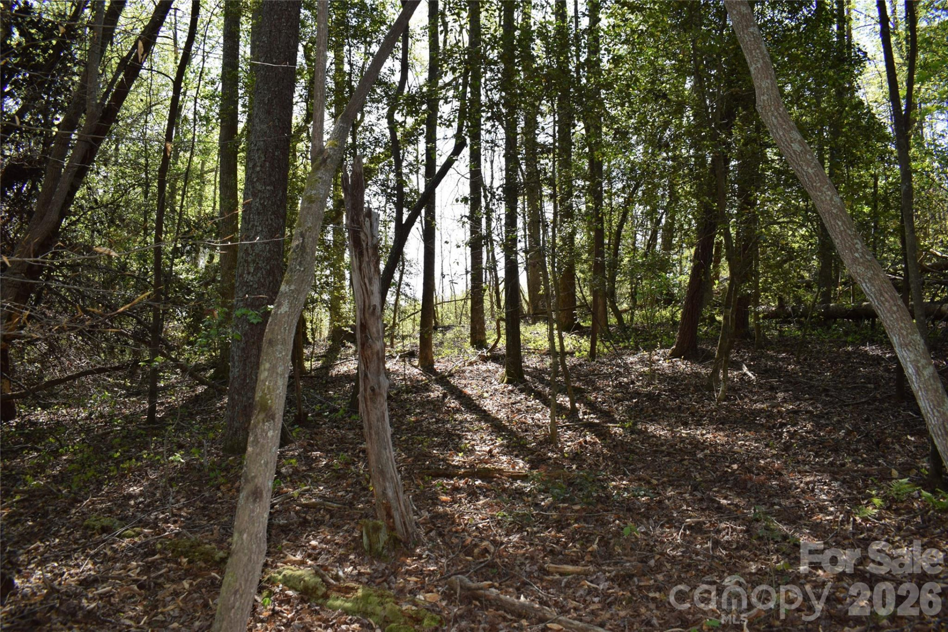 0 Hollis Road - Photo 25