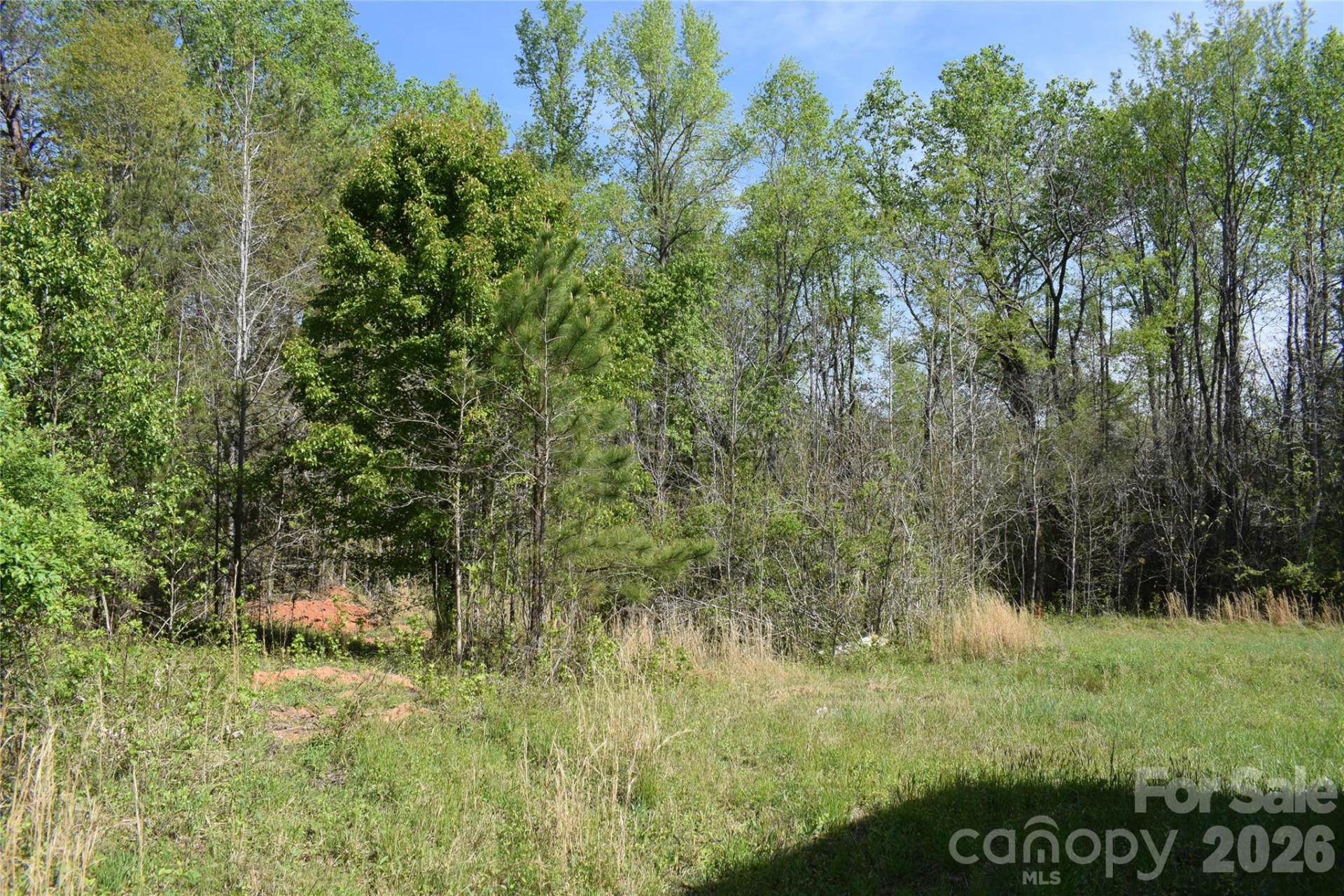 0 Hollis Road - Photo 10