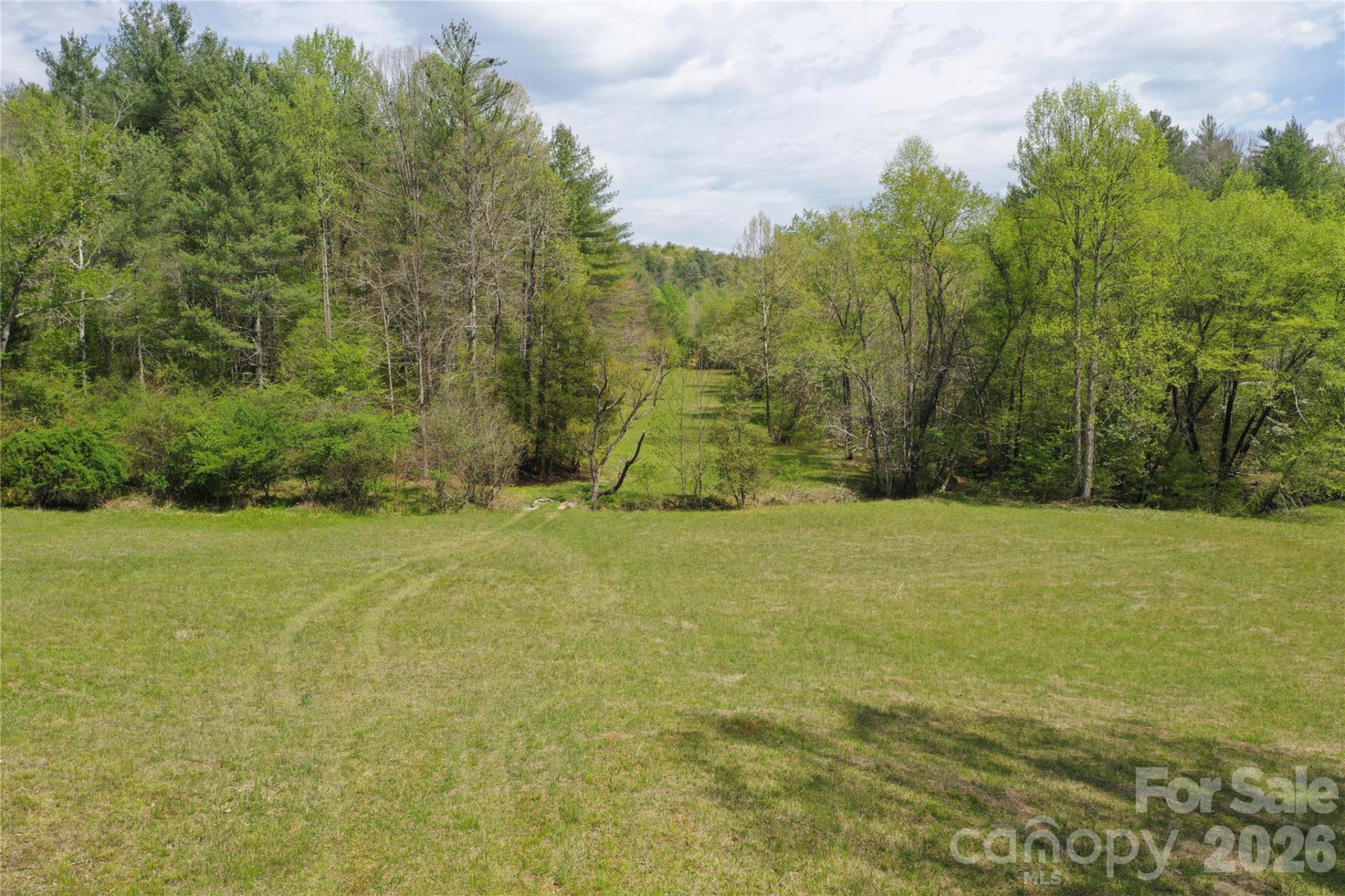 4017 Piney Road - Photo 3