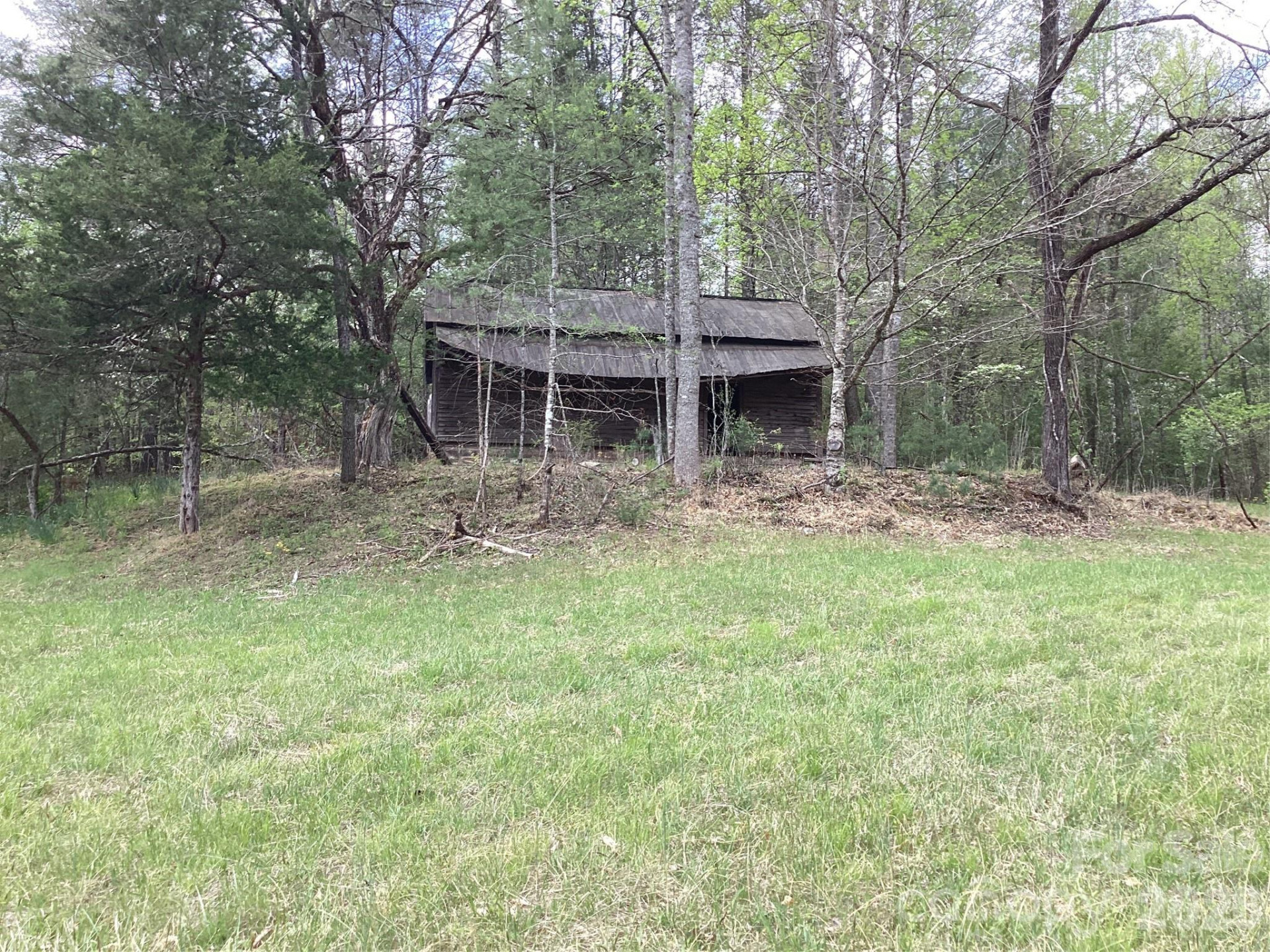 4017 Piney Road - Photo 14