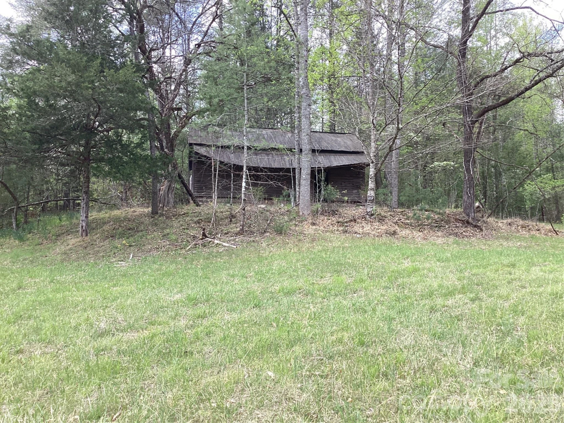 4017 Piney Road - Photo 13