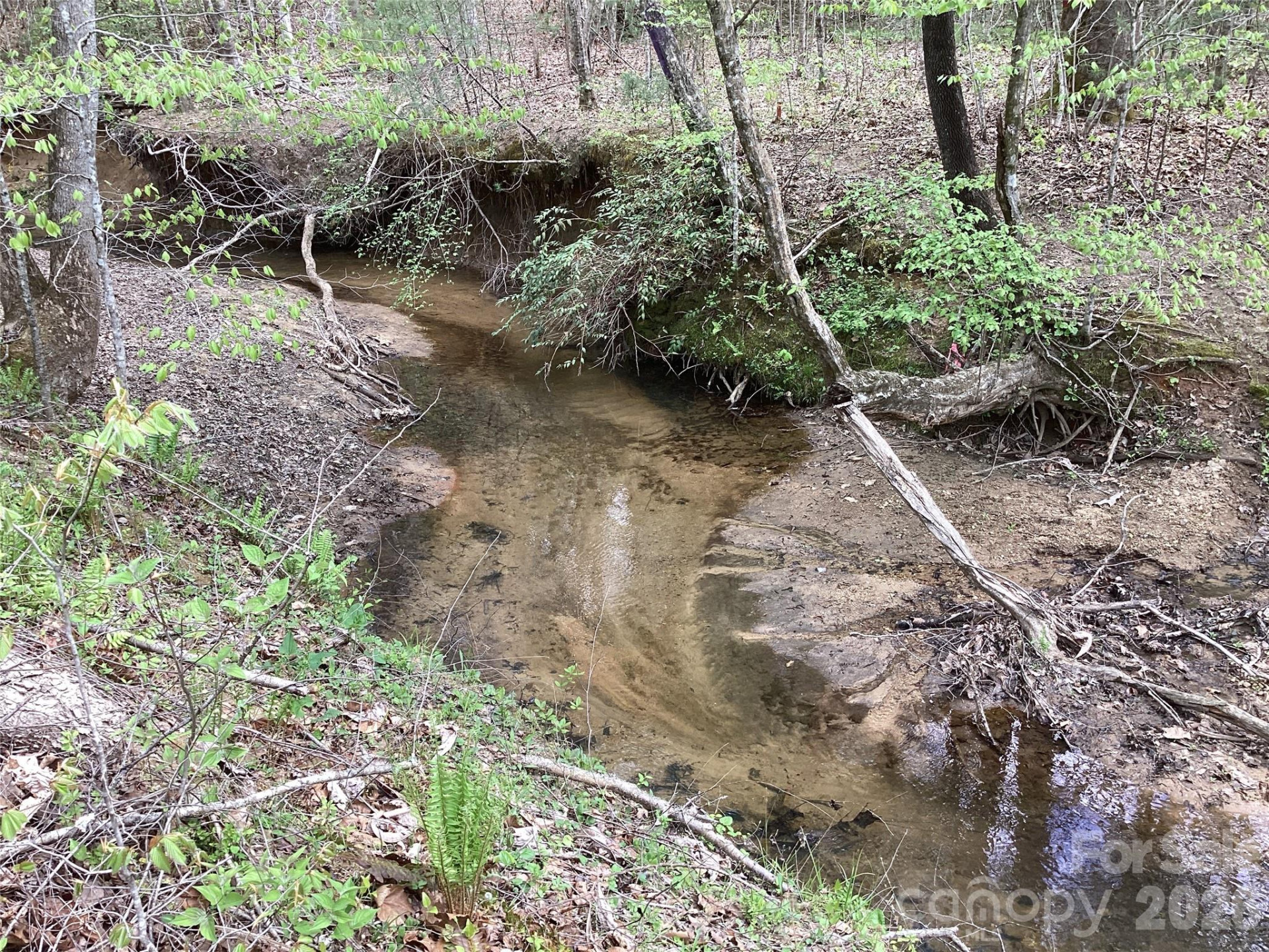 4017 Piney Road - Photo 15