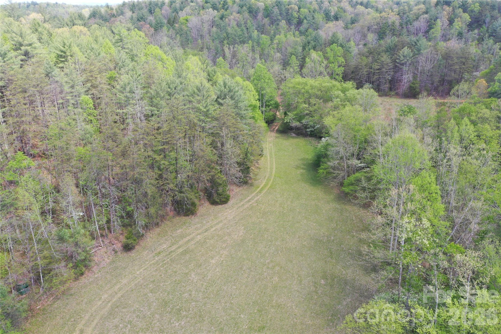 4017 Piney Road - Photo 16