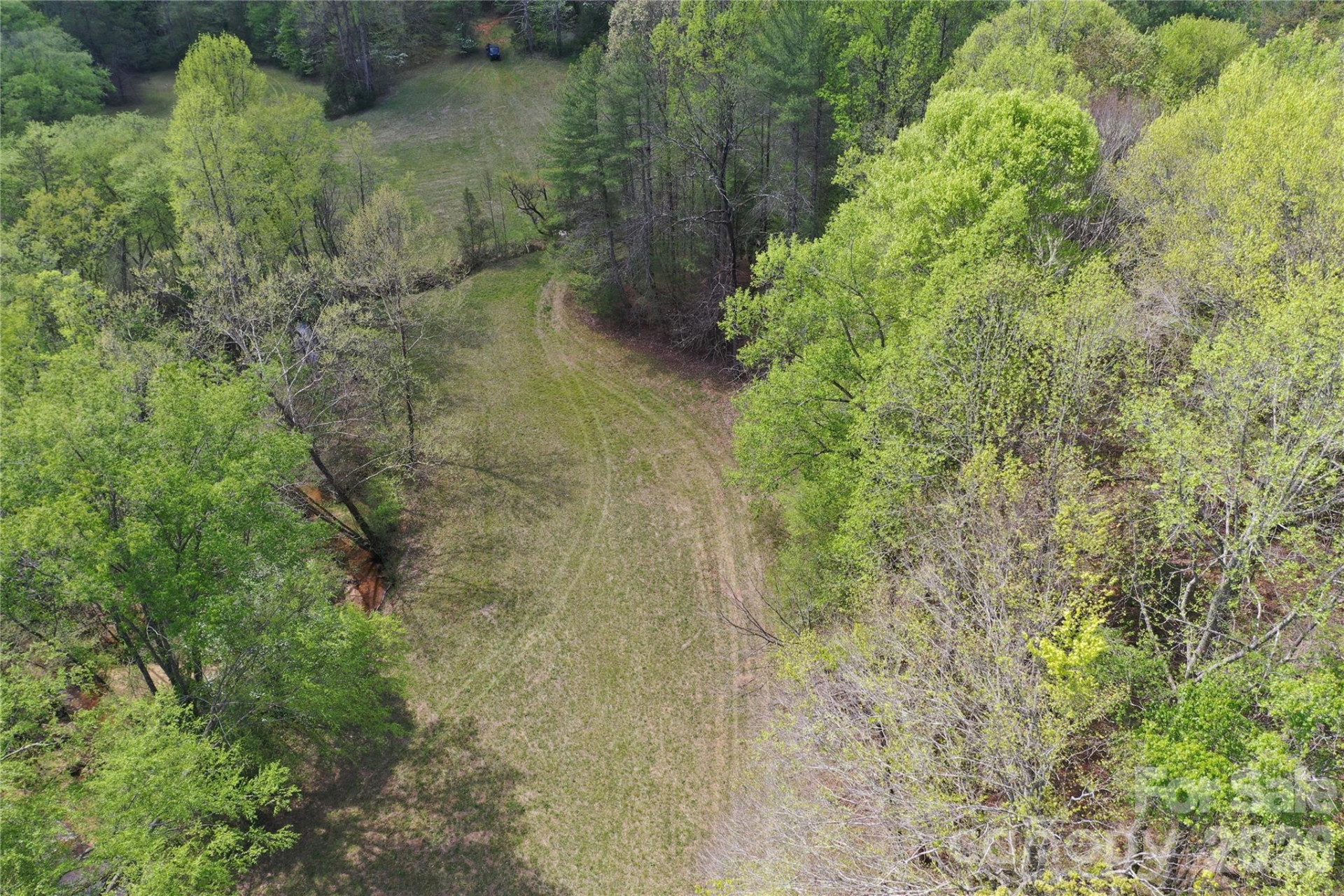 4017 Piney Road - Photo 17
