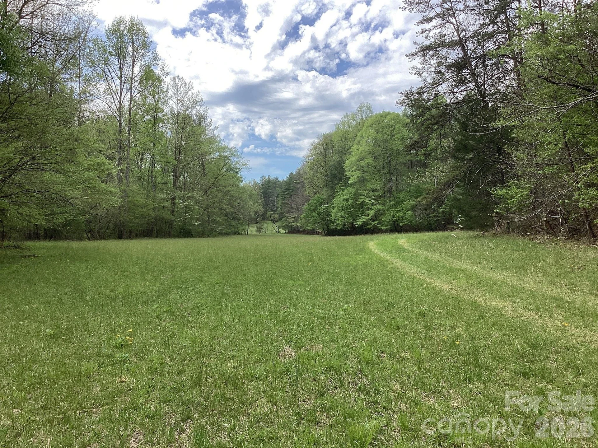 4017 Piney Road - Photo 17