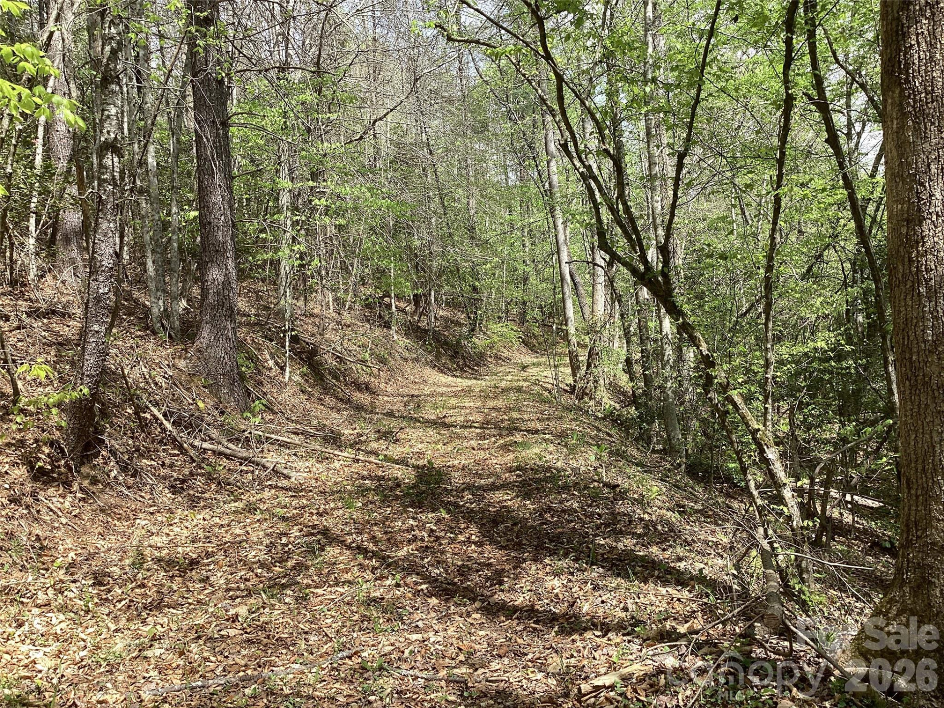 4017 Piney Road - Photo 19