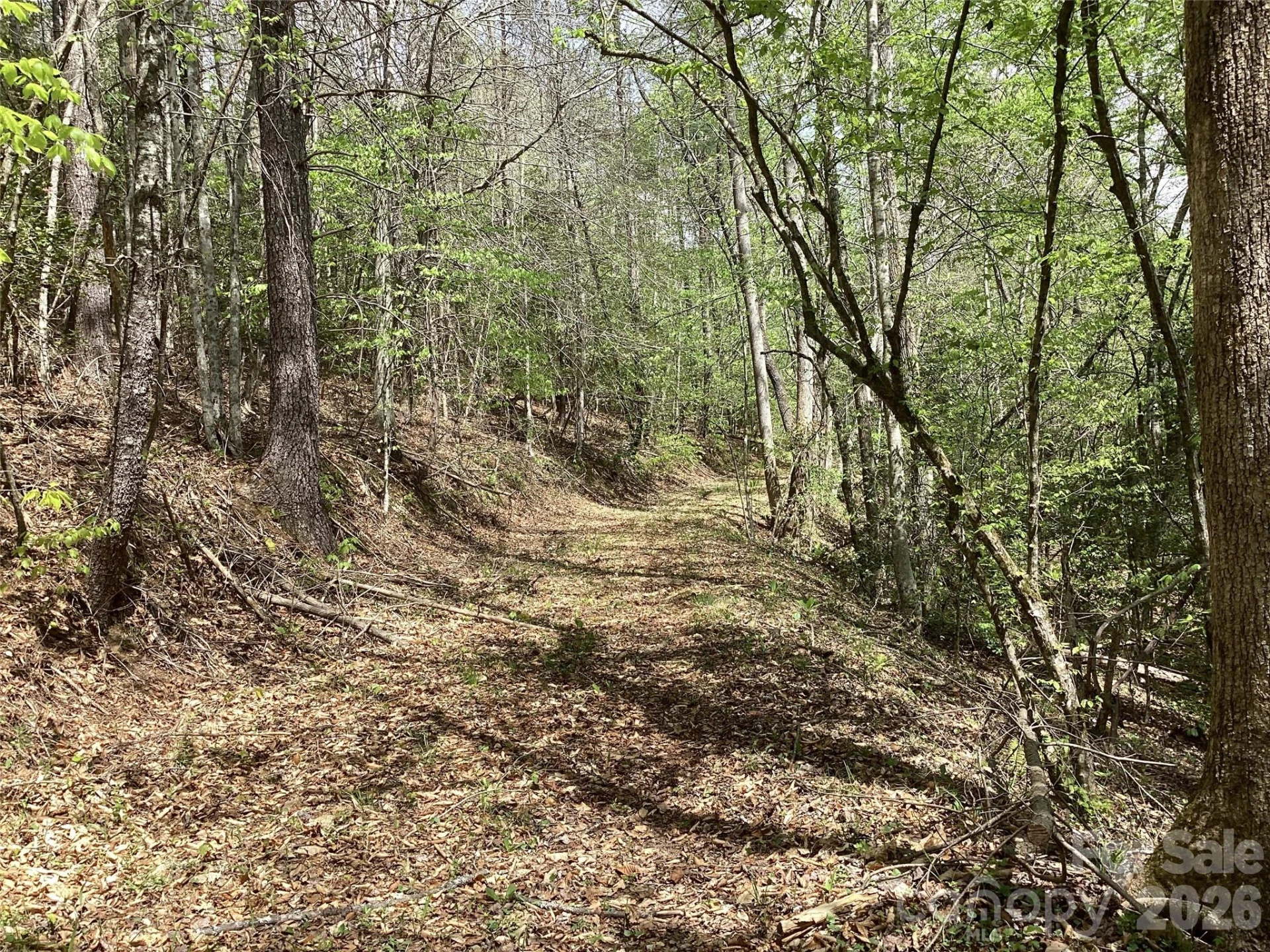 4017 Piney Road - Photo 18