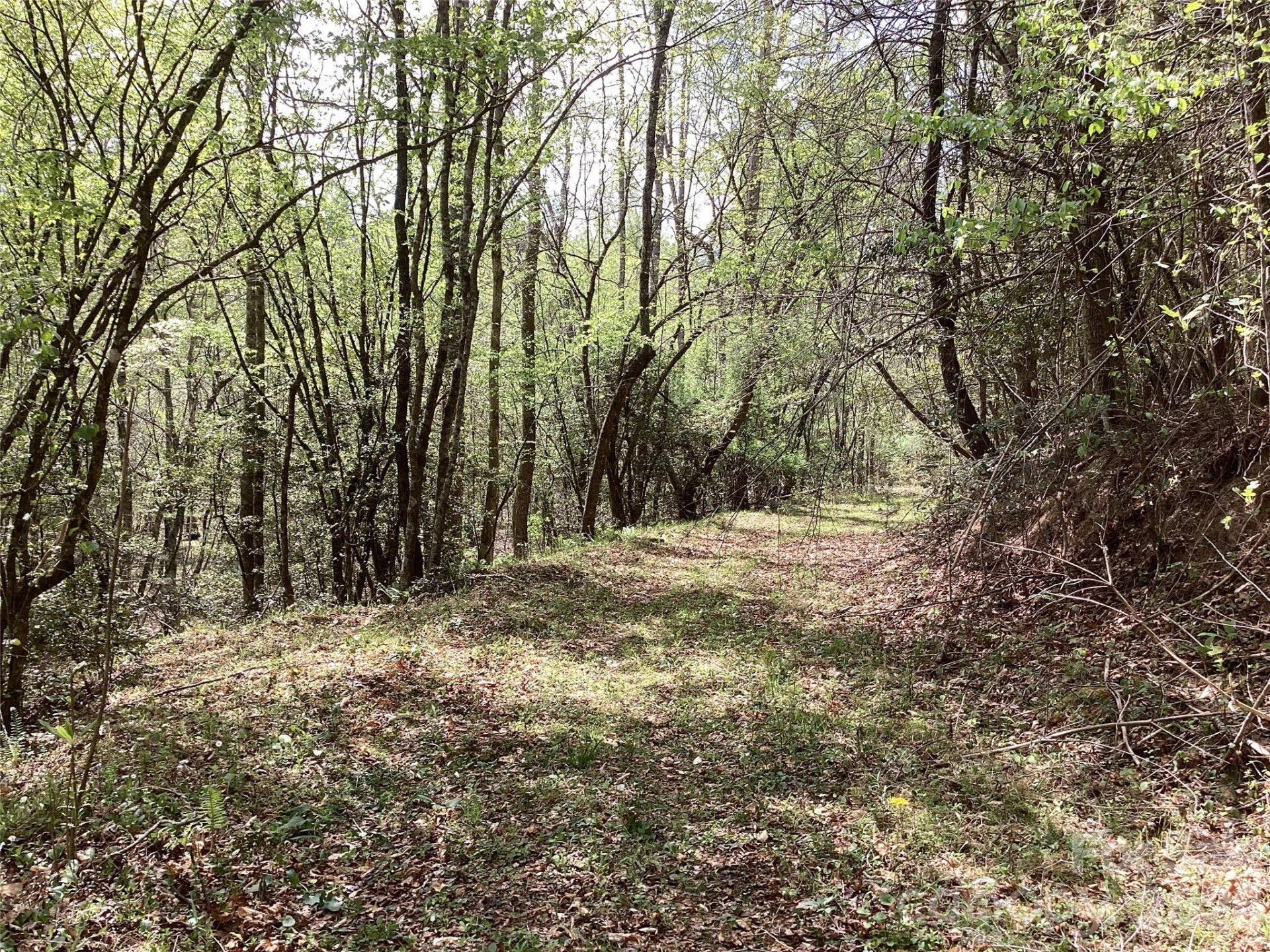 4017 Piney Road - Photo 20