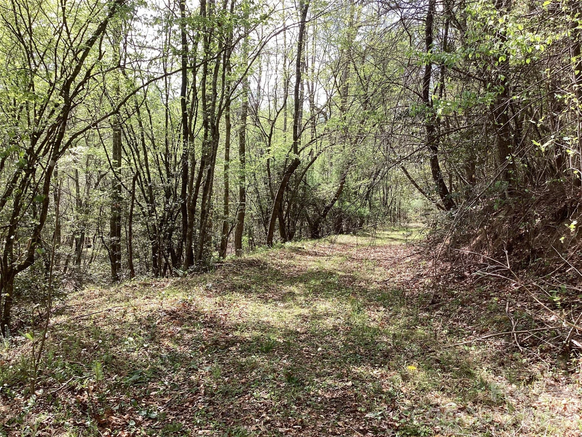 4017 Piney Road - Photo 19