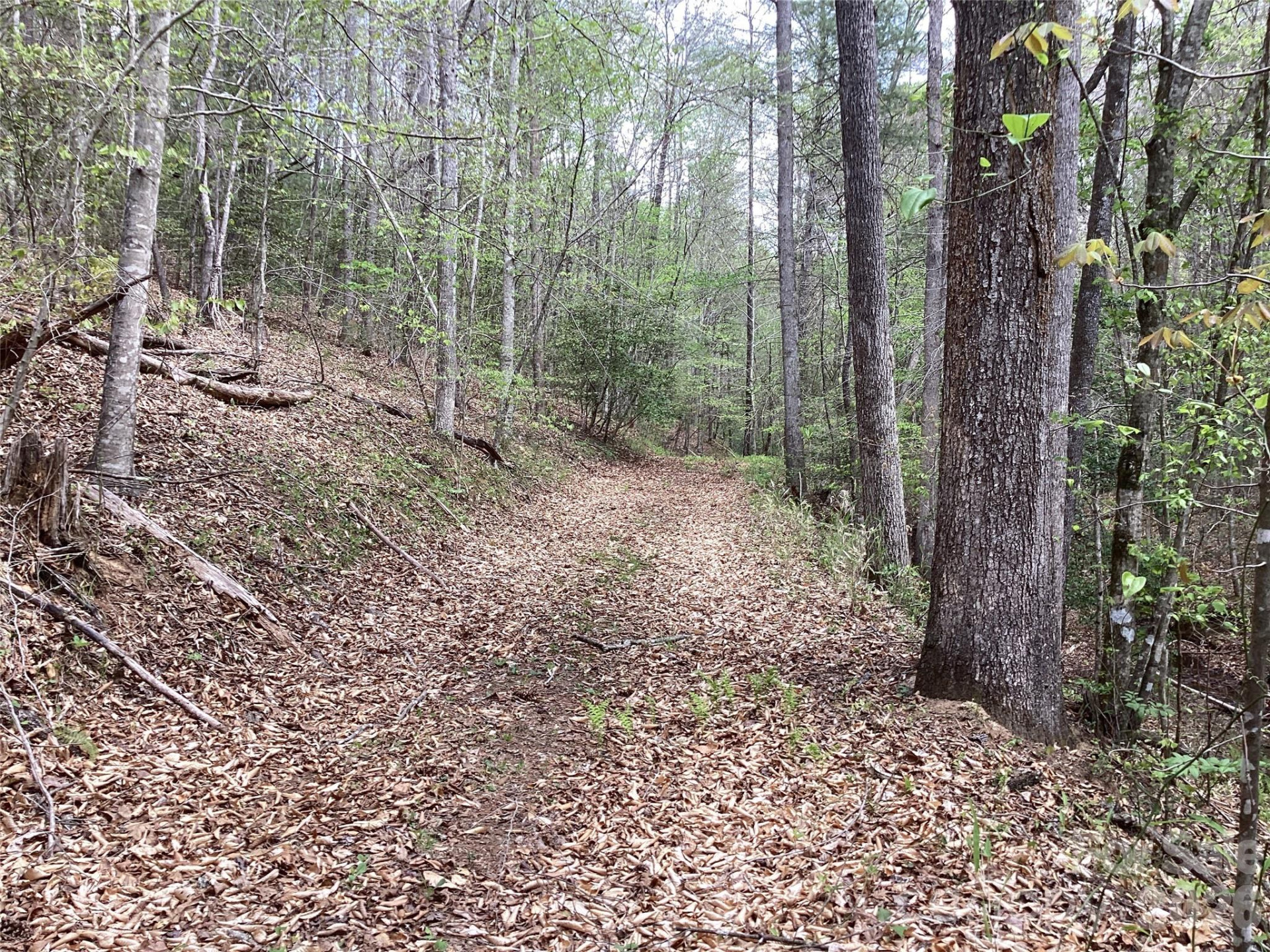 4017 Piney Road - Photo 21