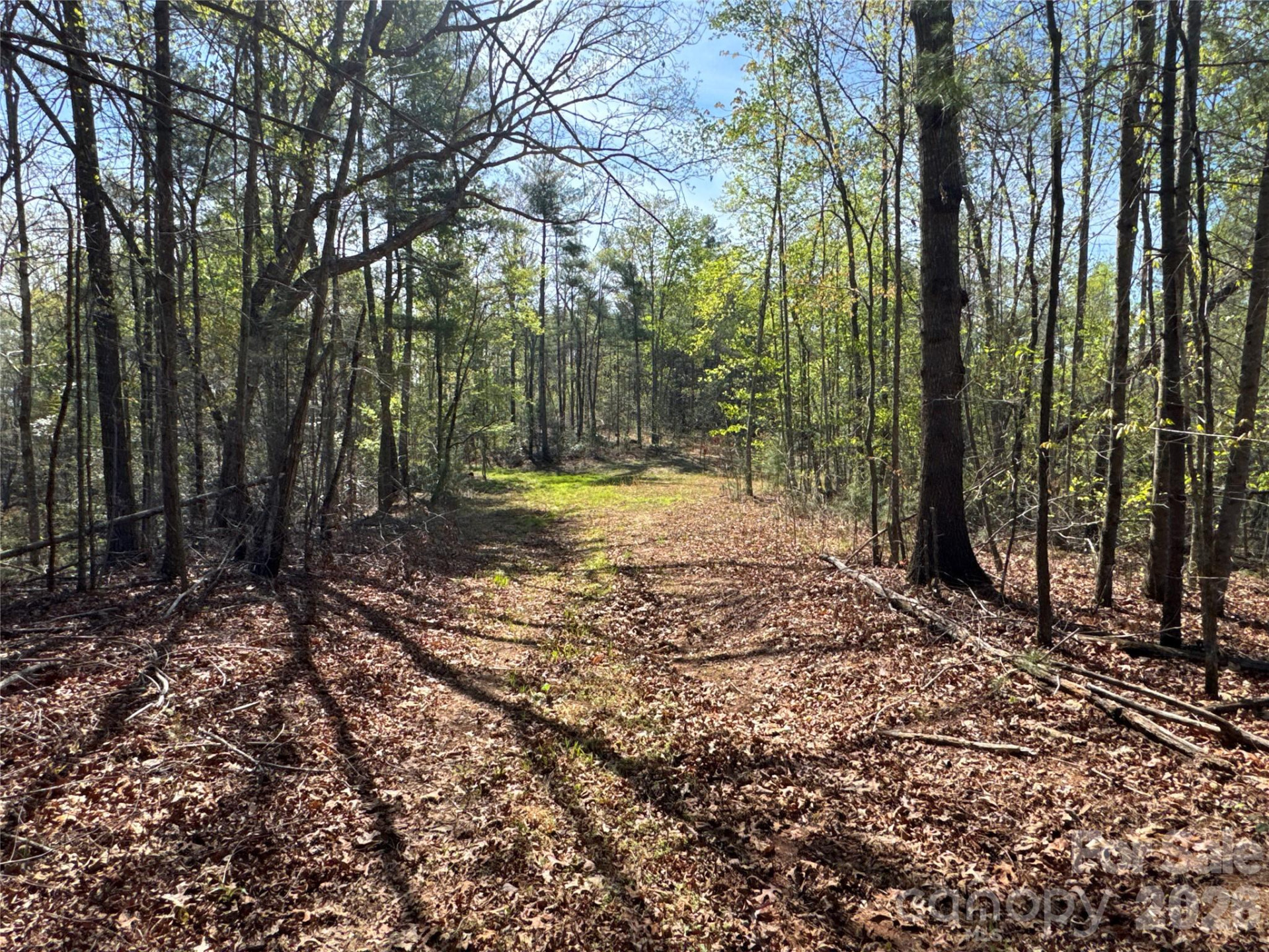 4017 Piney Road - Photo 5