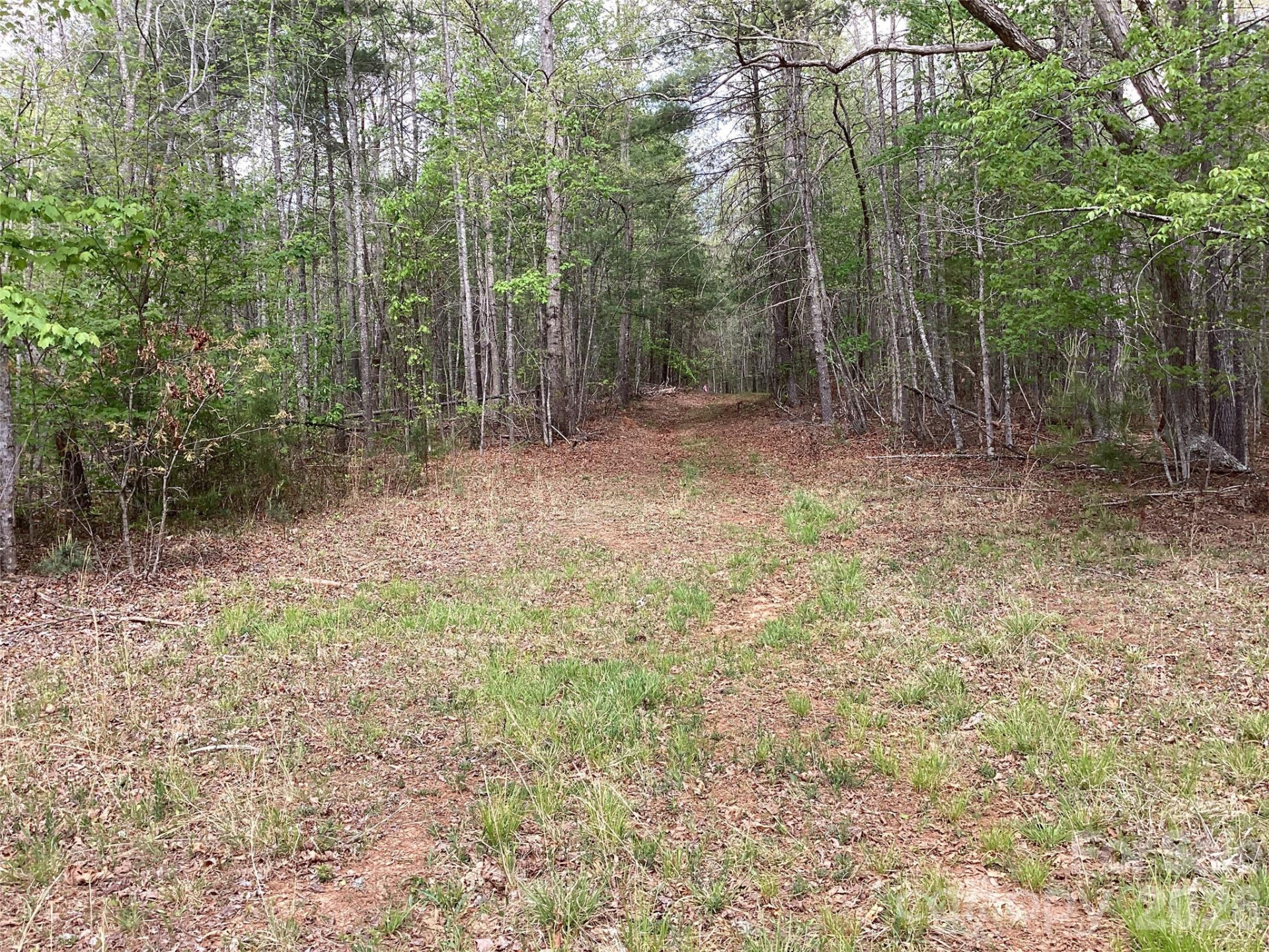 4017 Piney Road - Photo 24