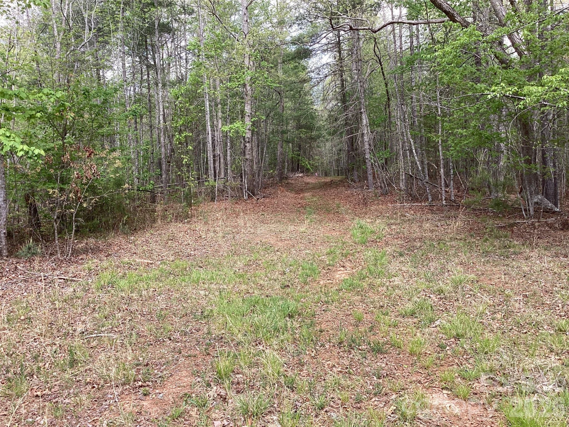 4017 Piney Road - Photo 23