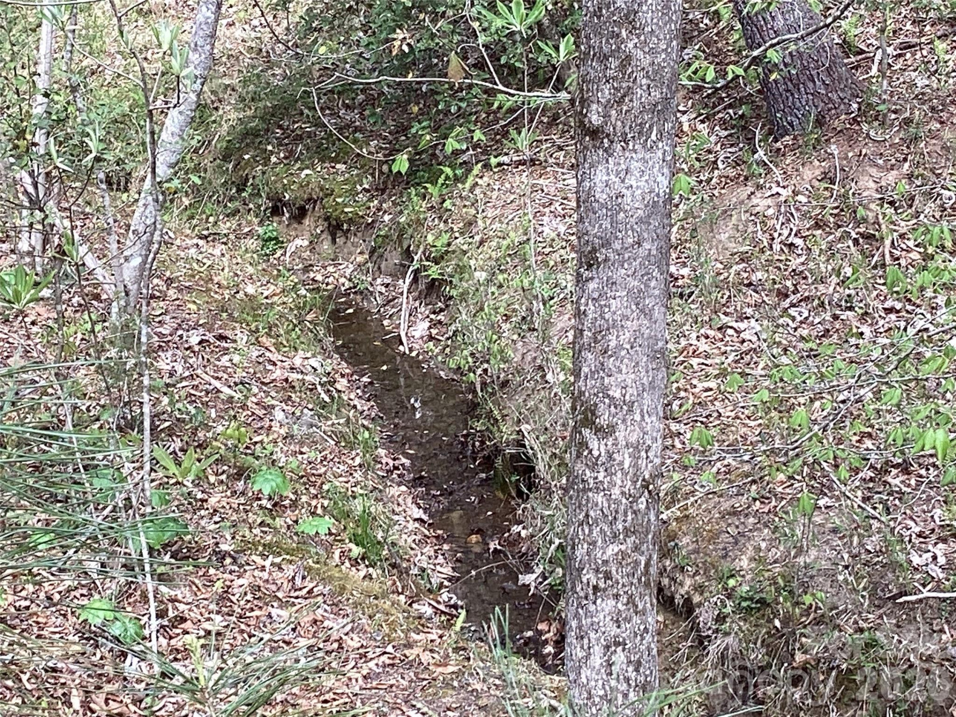 4017 Piney Road - Photo 25